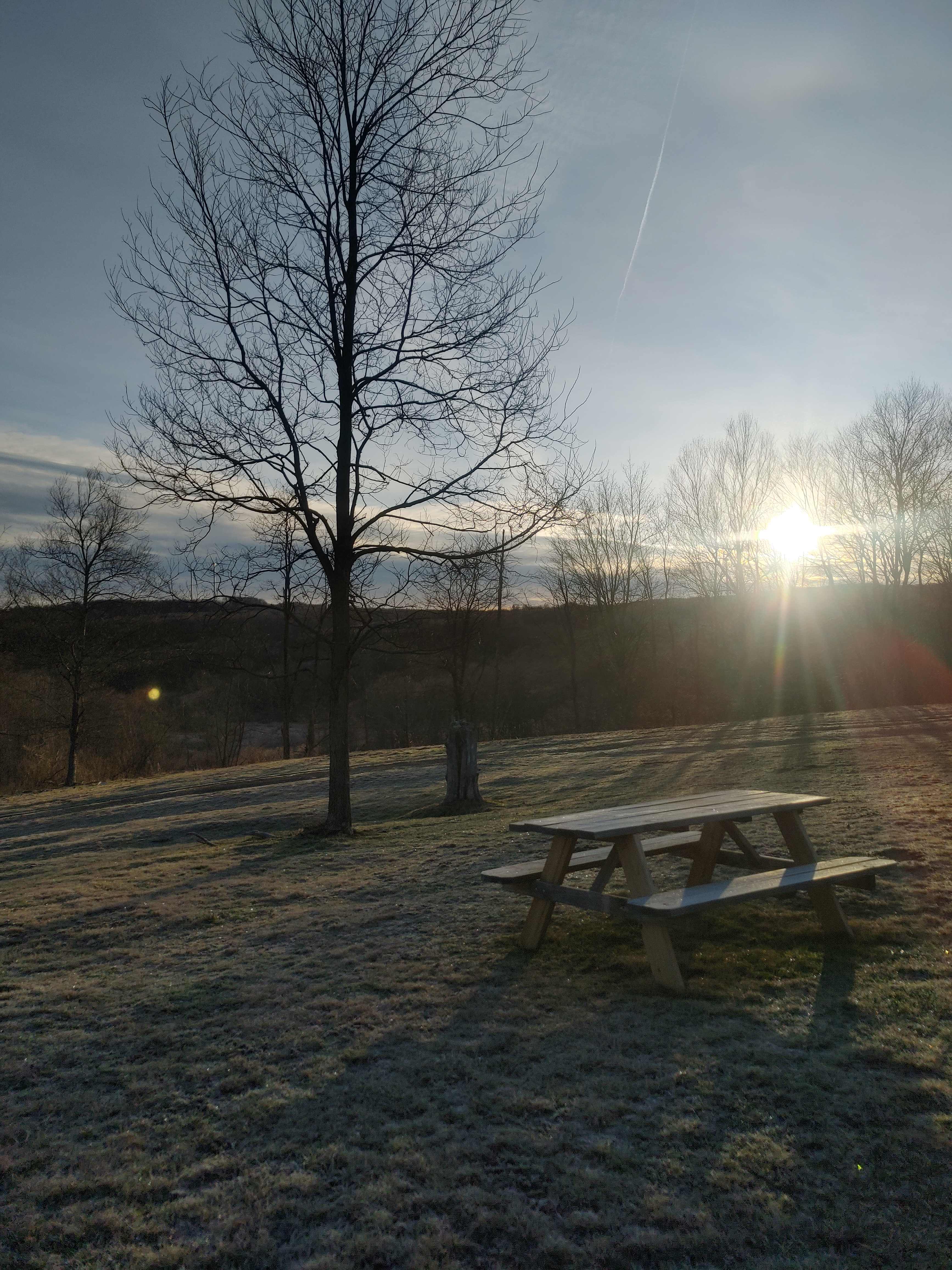 Bear Run Farms