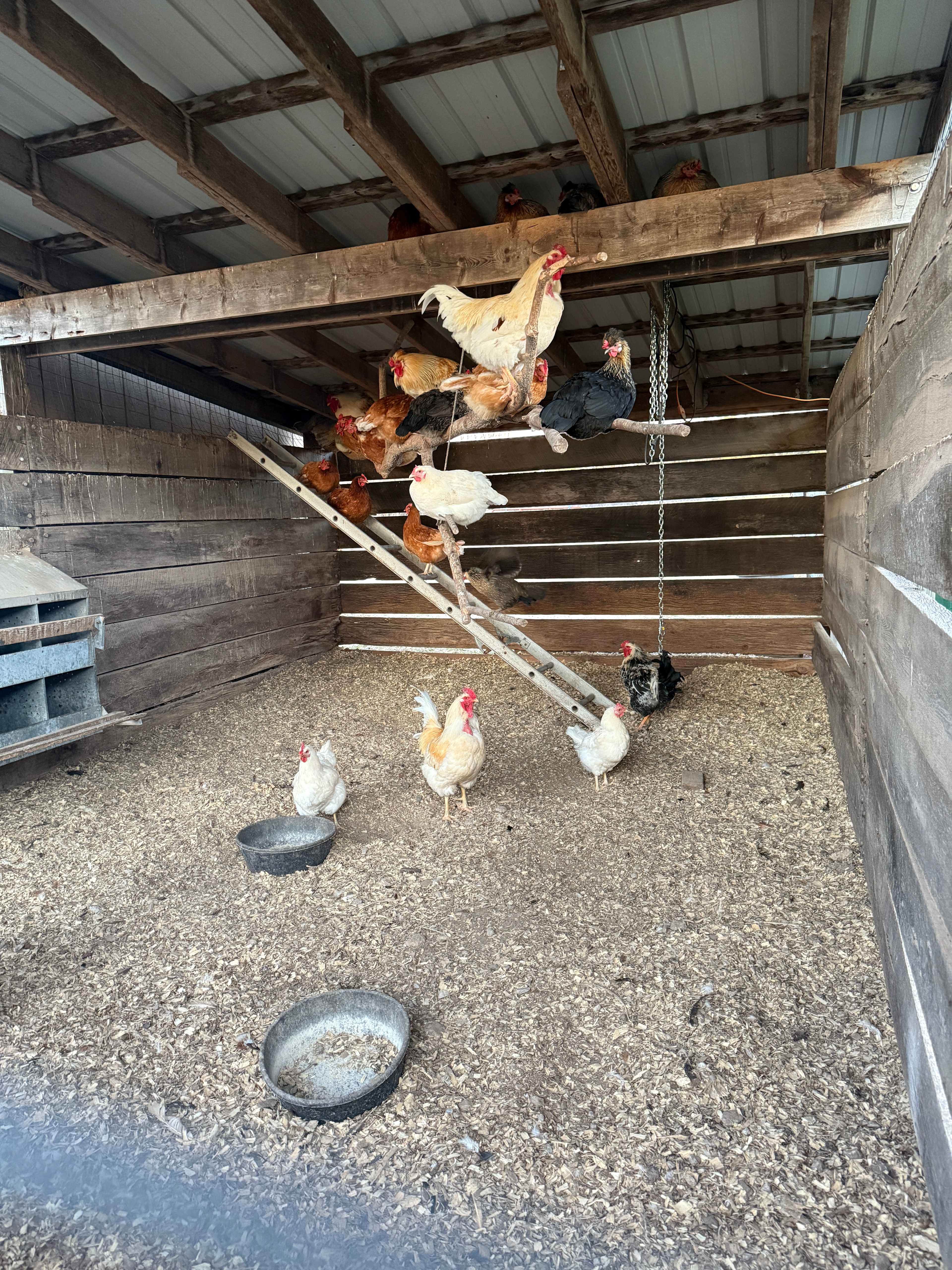Old Soul Farm