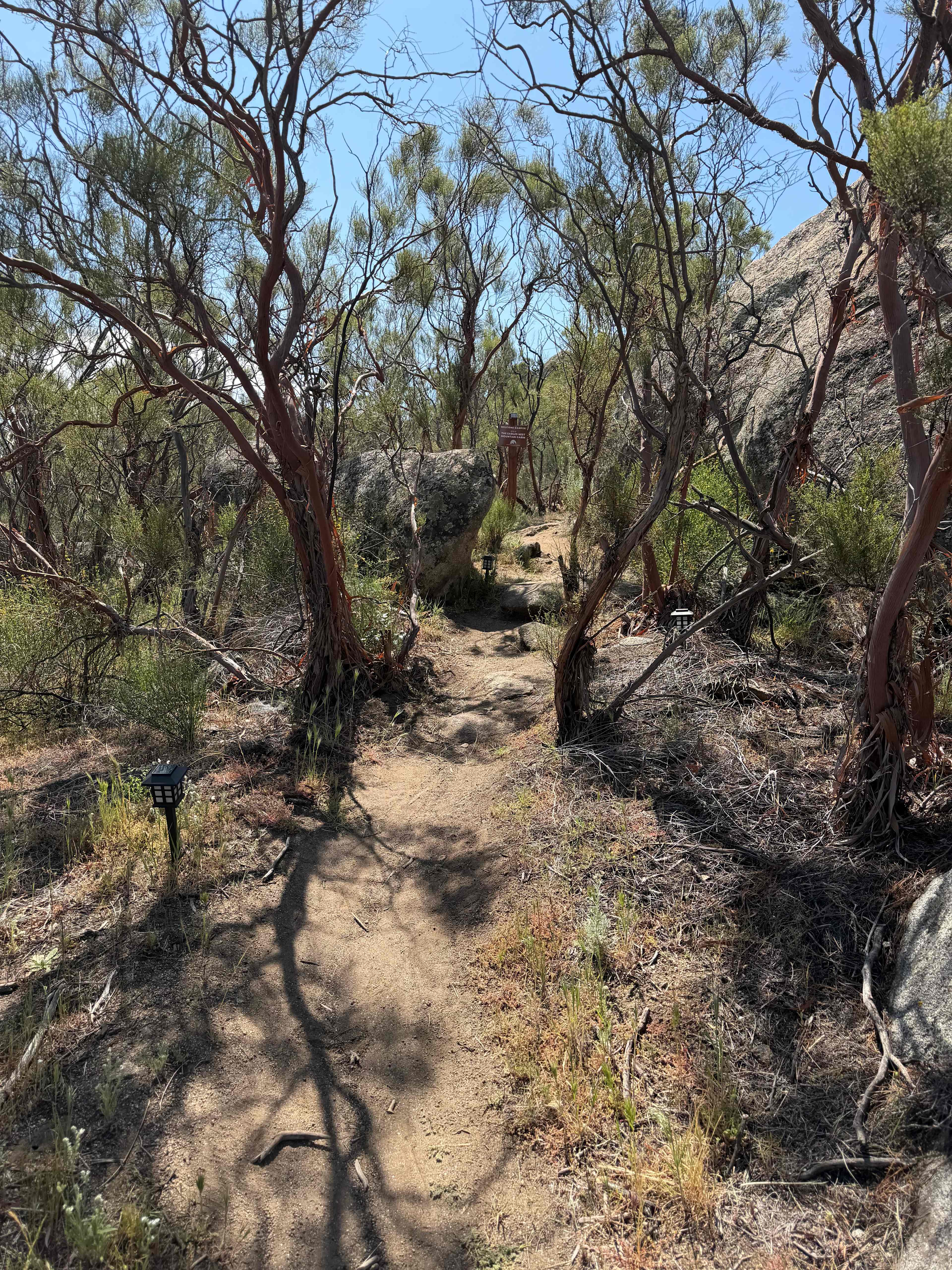 Cute trail leading up to site