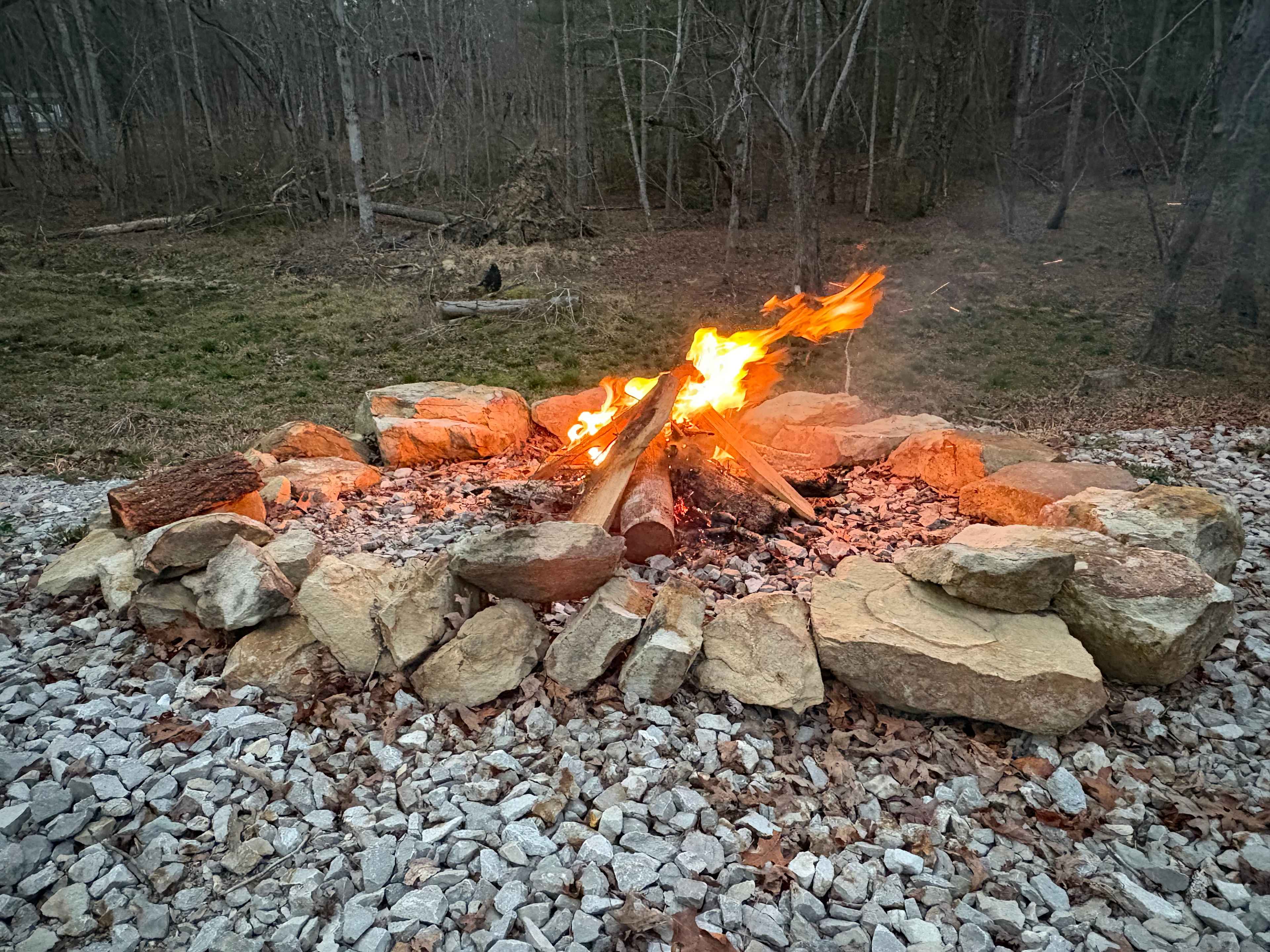 Picture of the site
