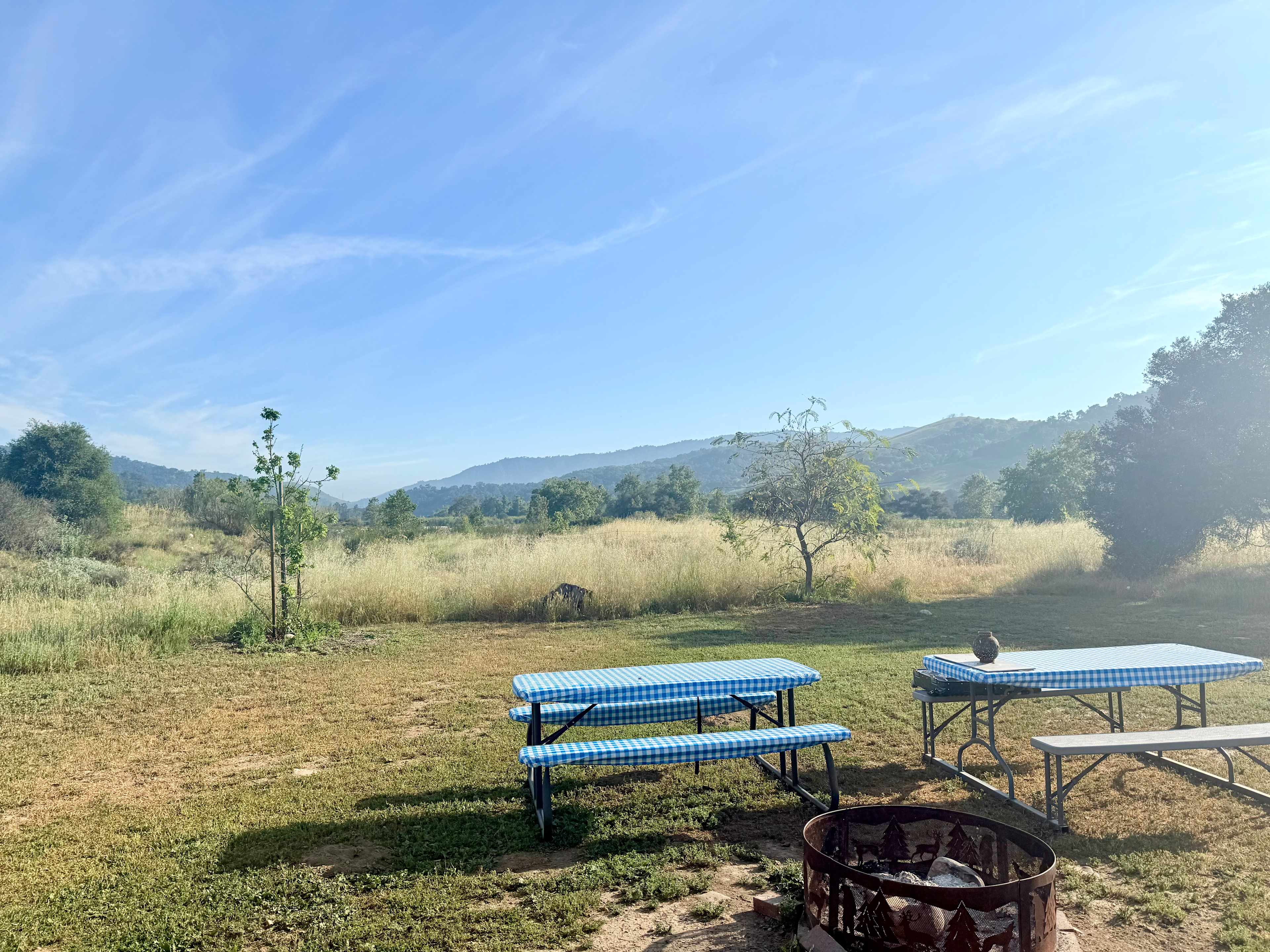 Arber-Moore's Ranch