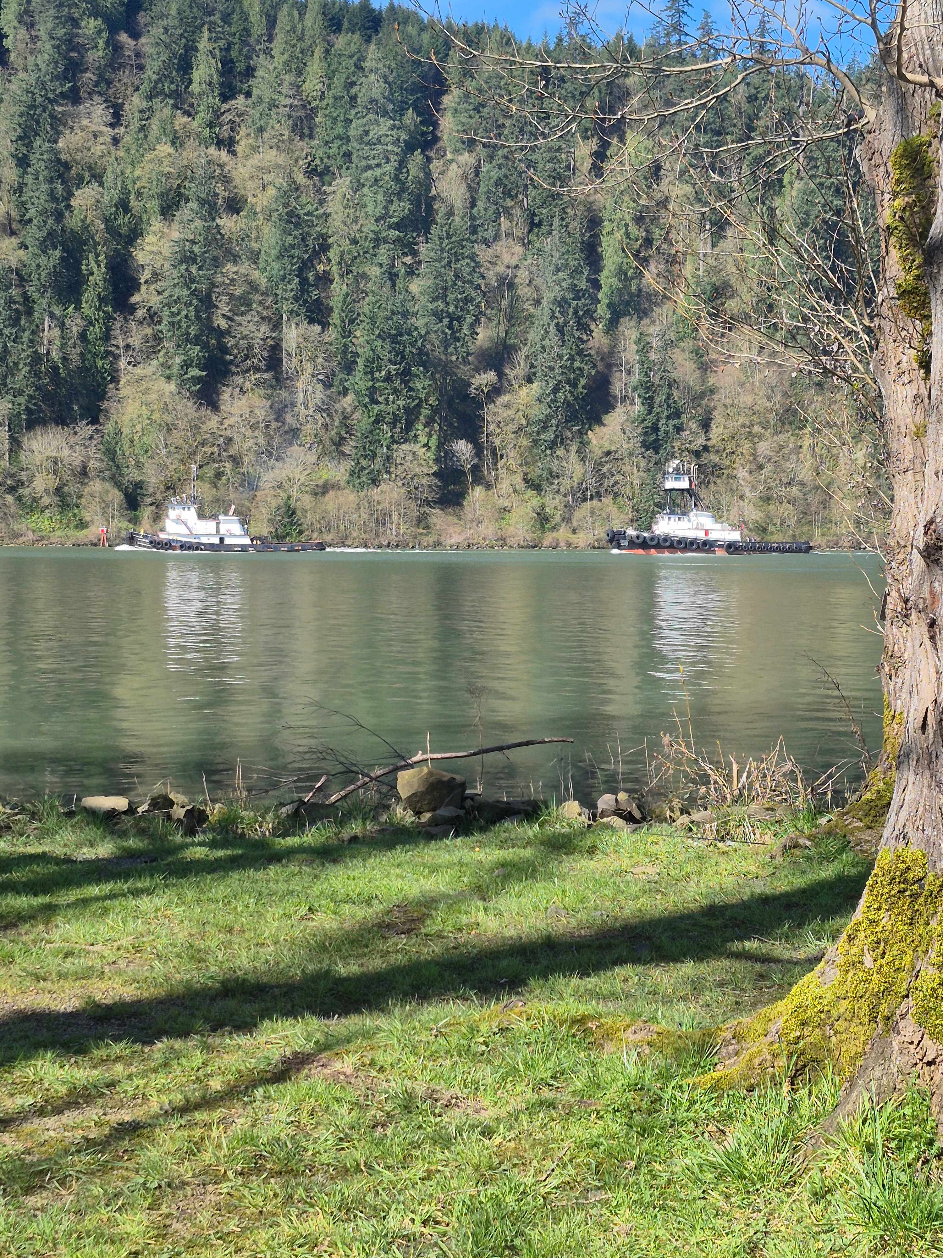 Columbia River Camping