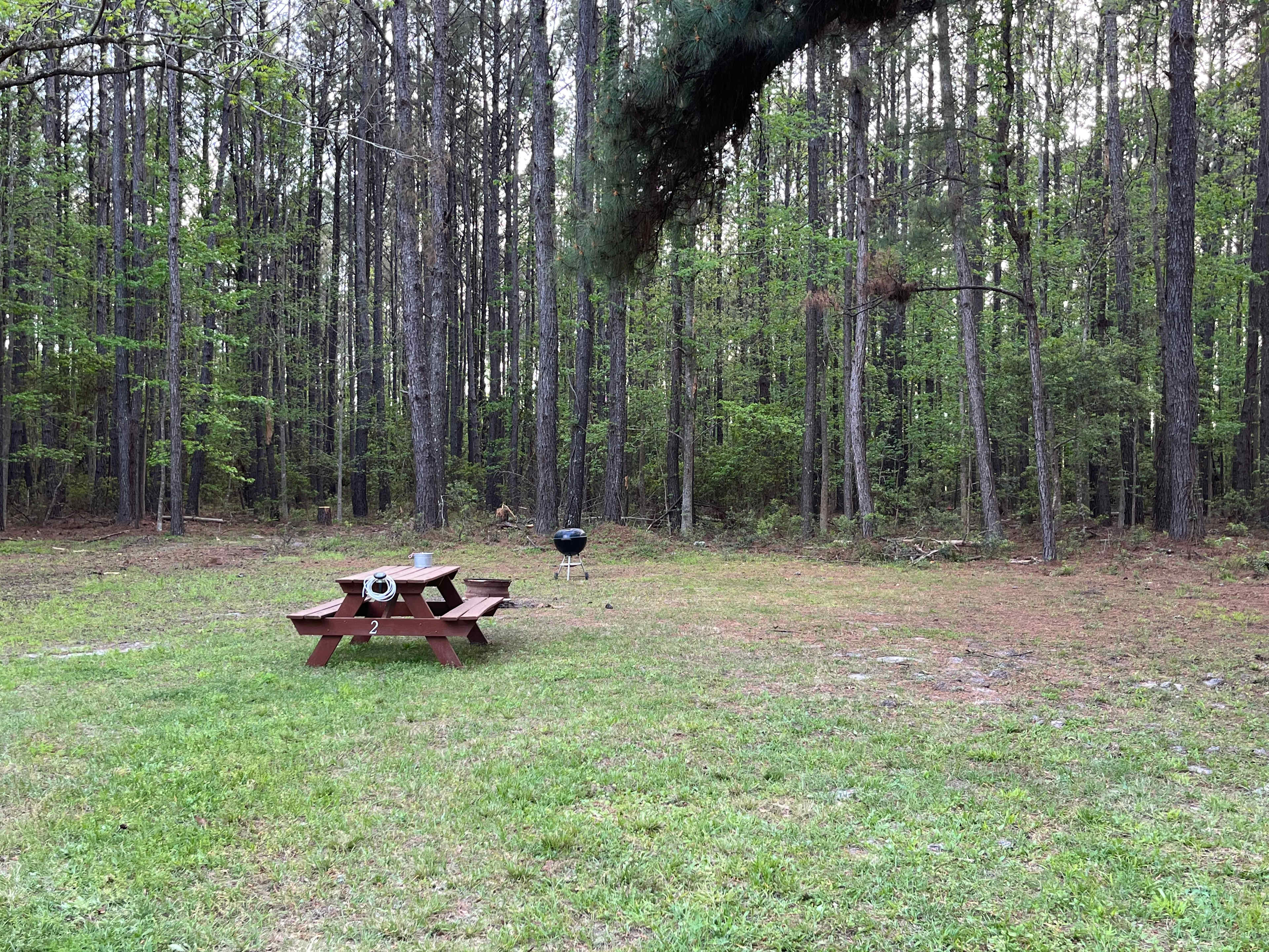 Site 2 level area to back-in an RV