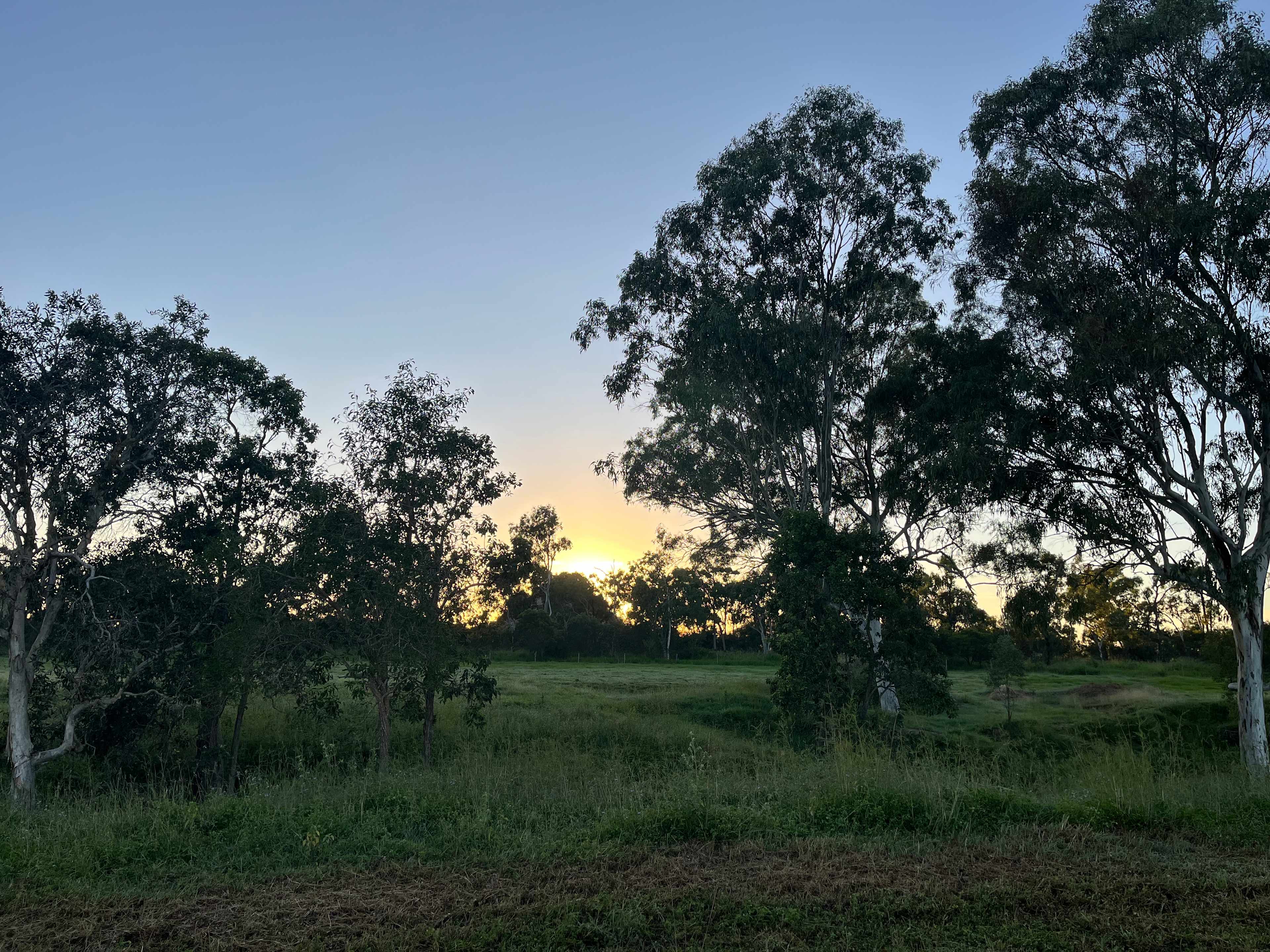Sunrise view