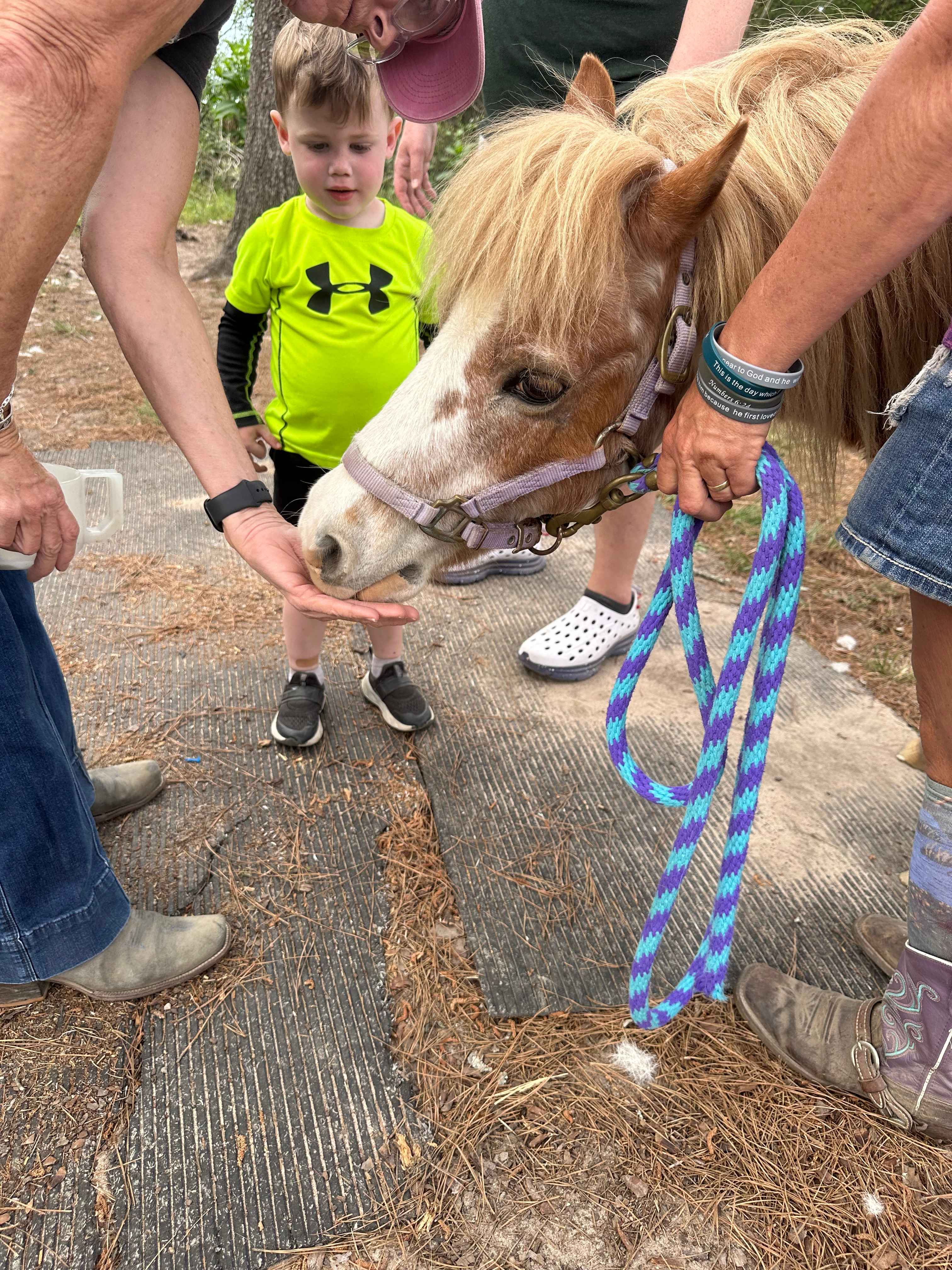 5D RANCH