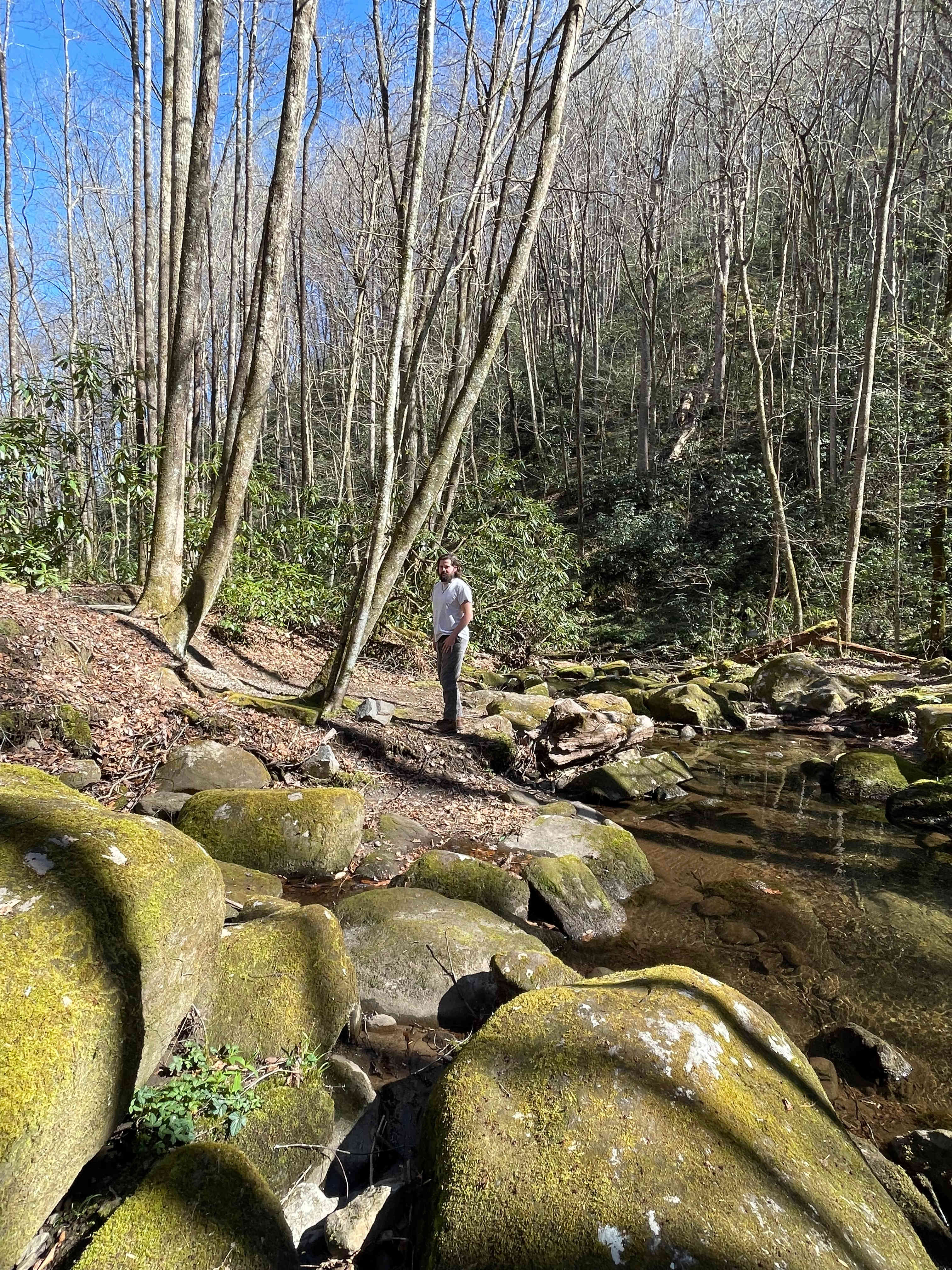 Mountain Creek Rest