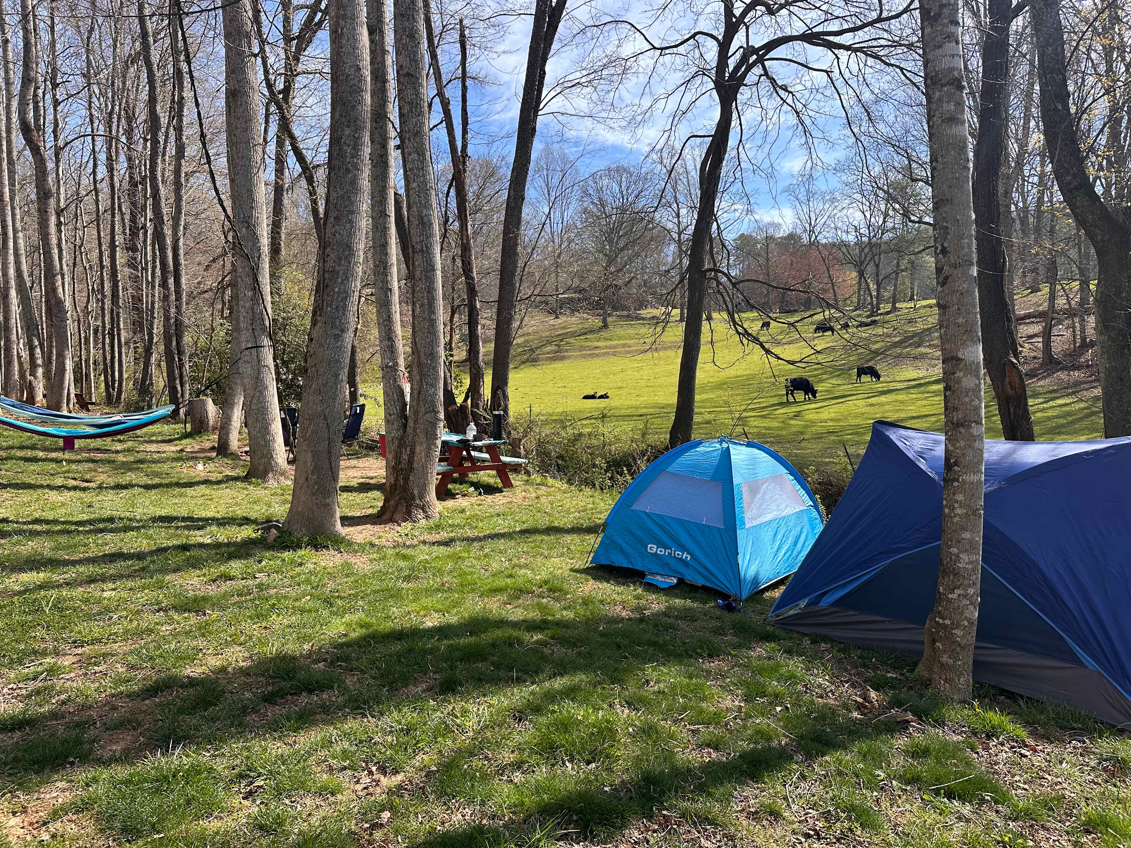 Candy Mountain Goat Farm