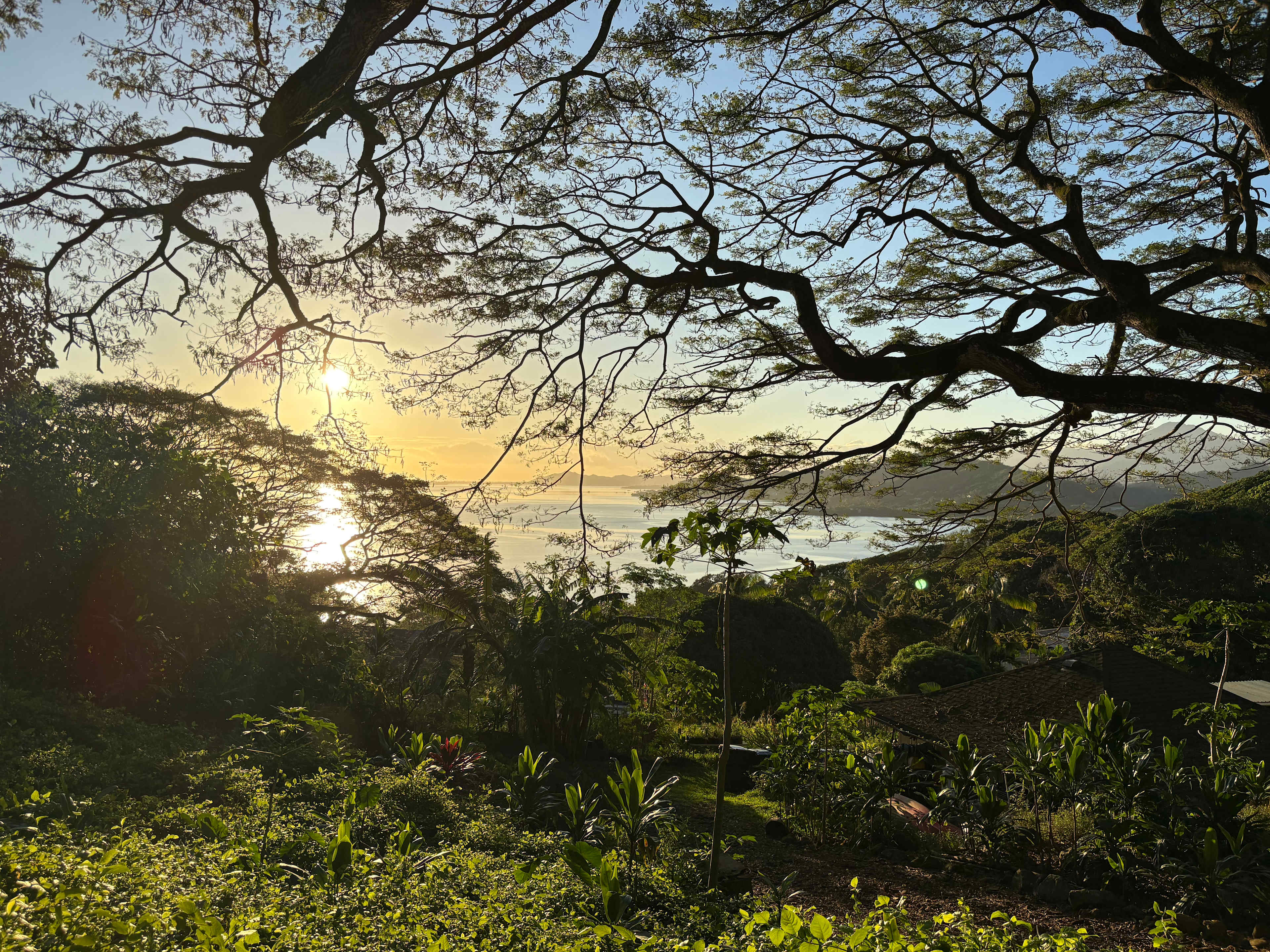 Gorgeous Views-Farm-Jungle,-Glamp!