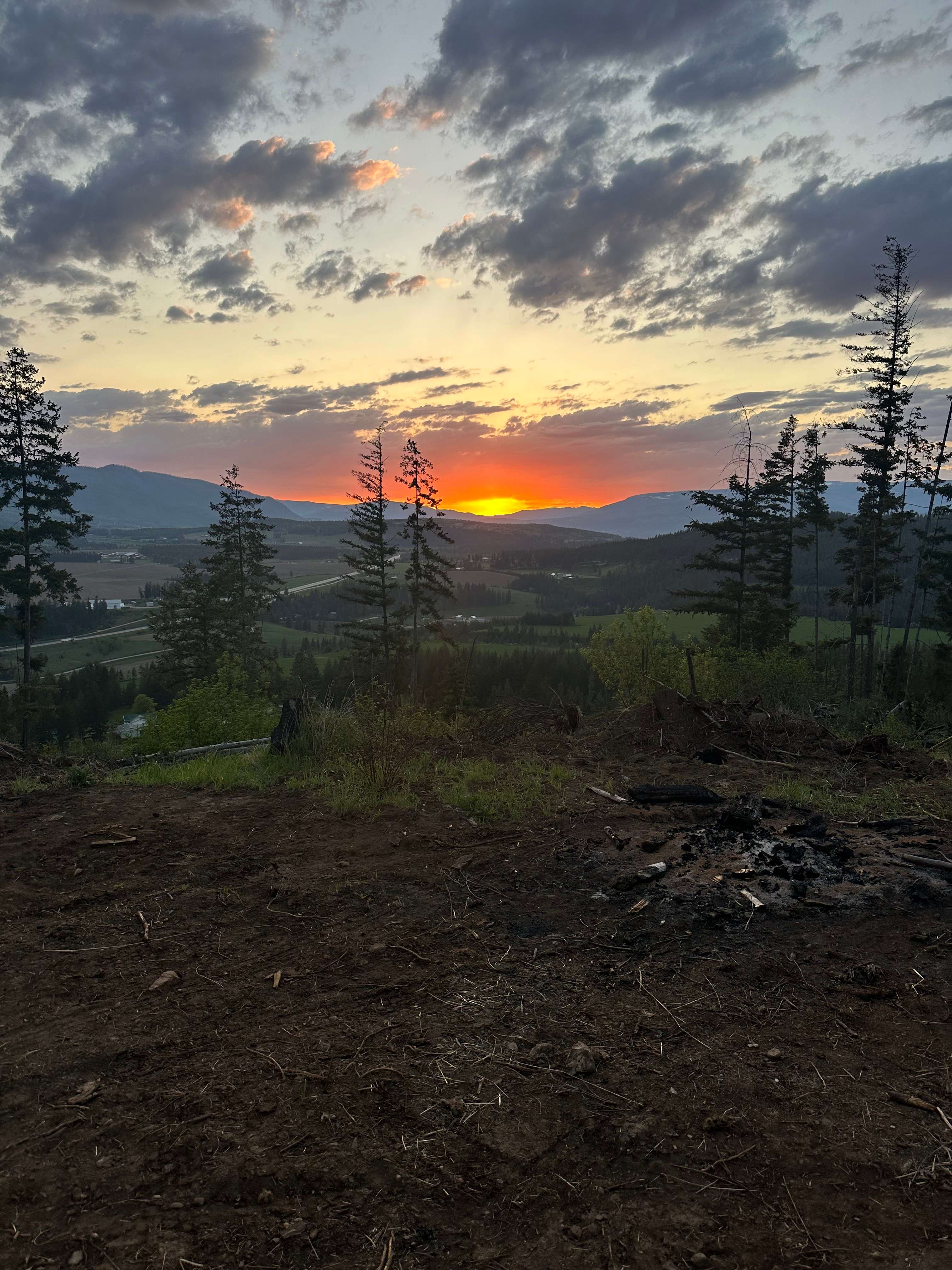 Picture of the site