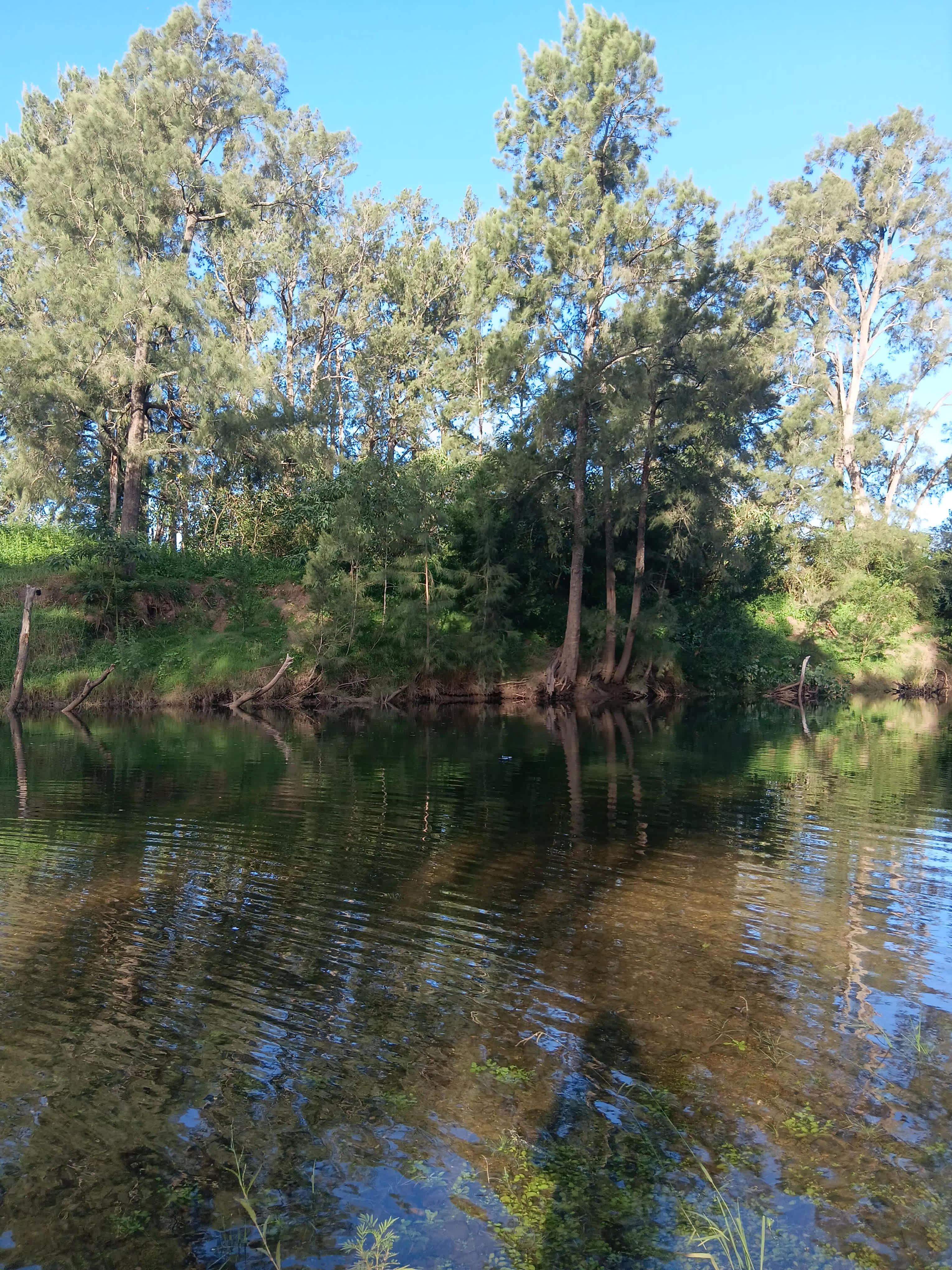 Mungerarie Farm