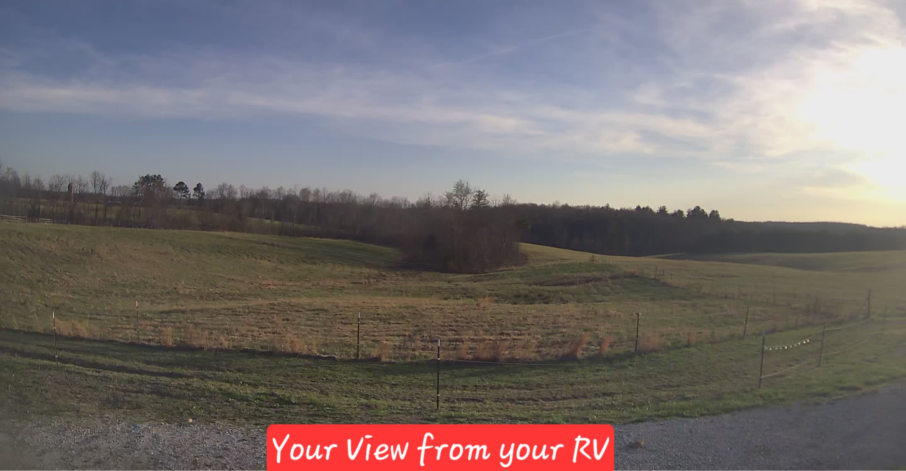 Picture of the site