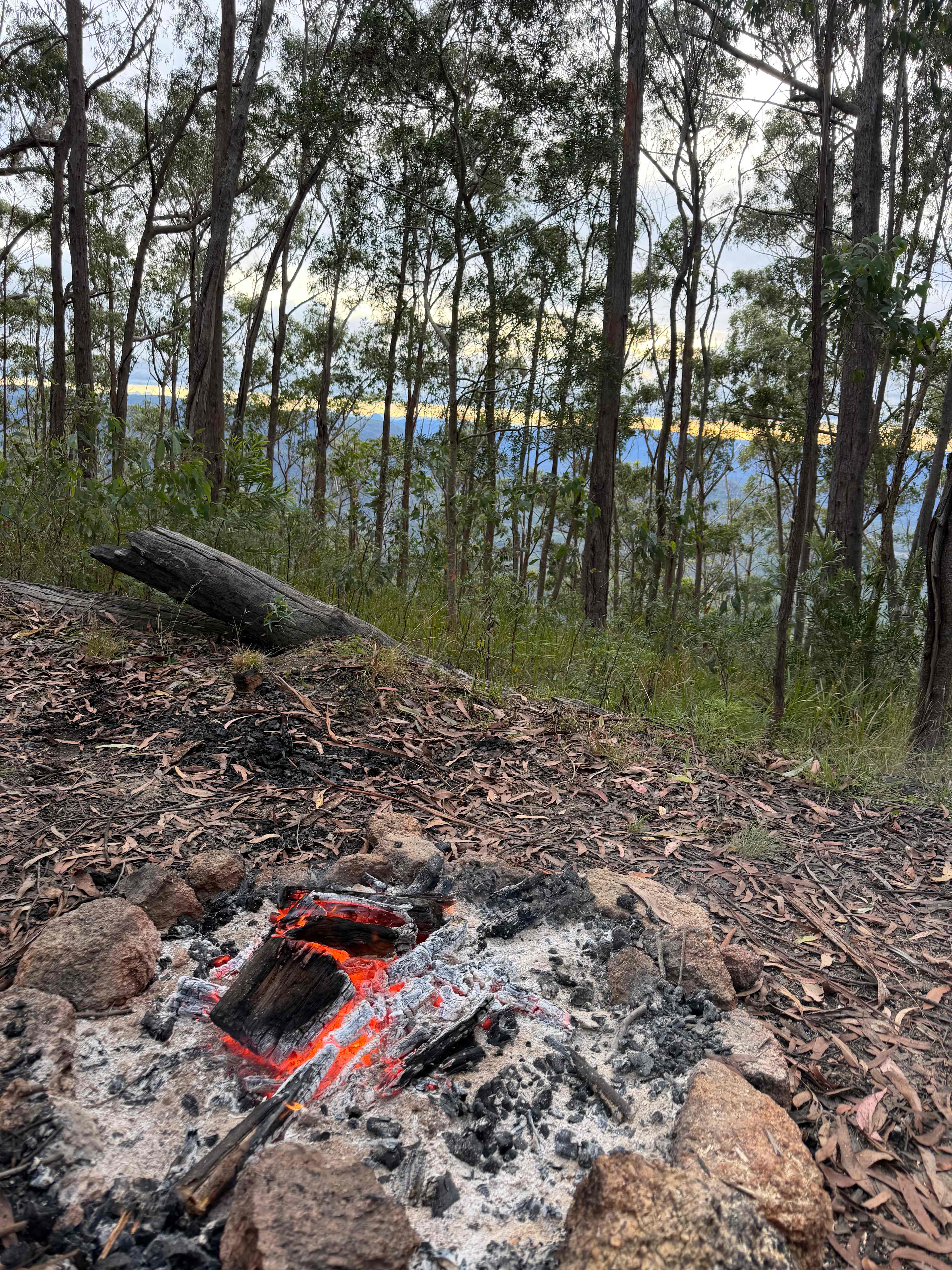 Stonepine Ridge 'where eagles fly'