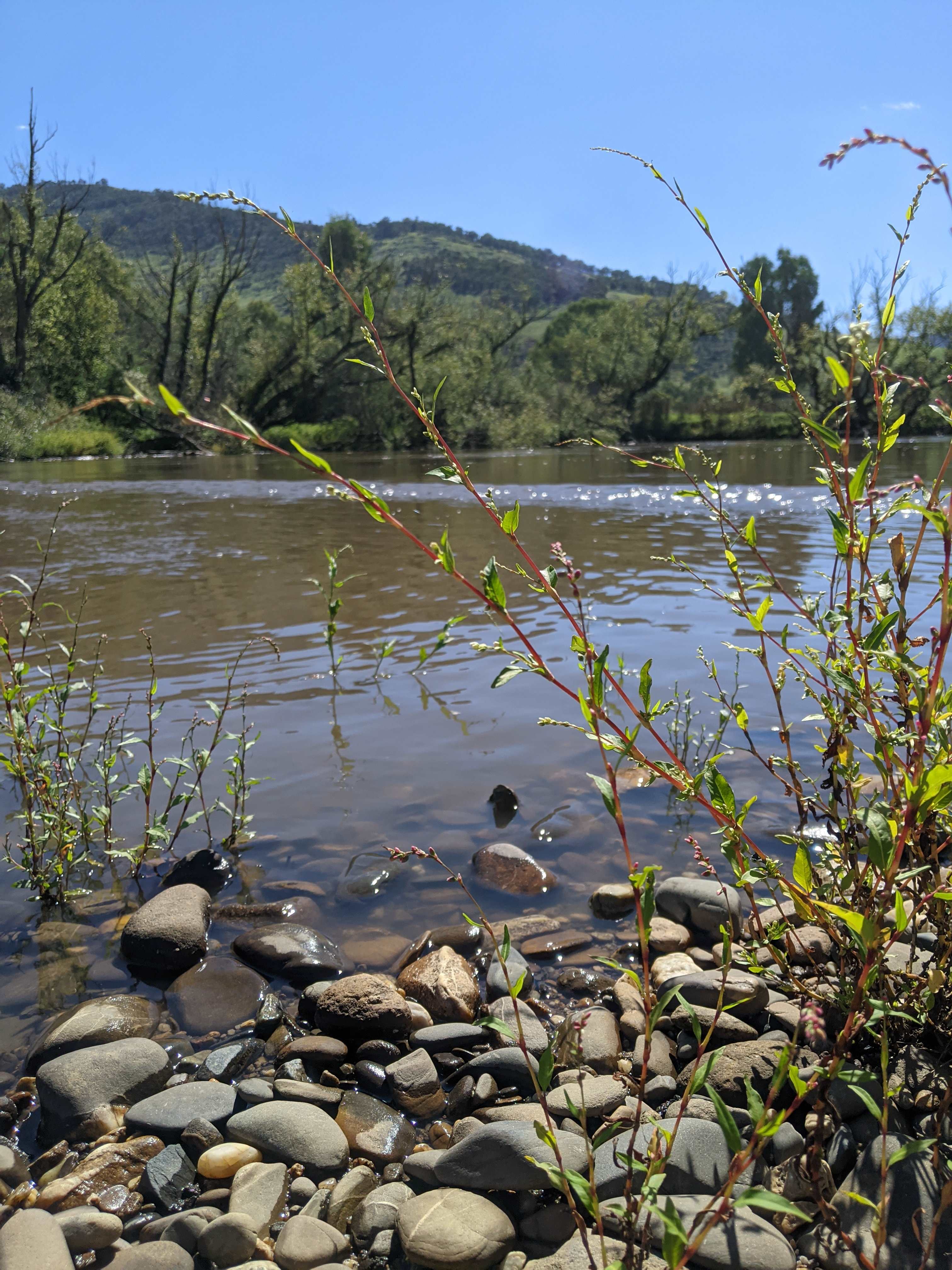 Bimbimbi River Camp