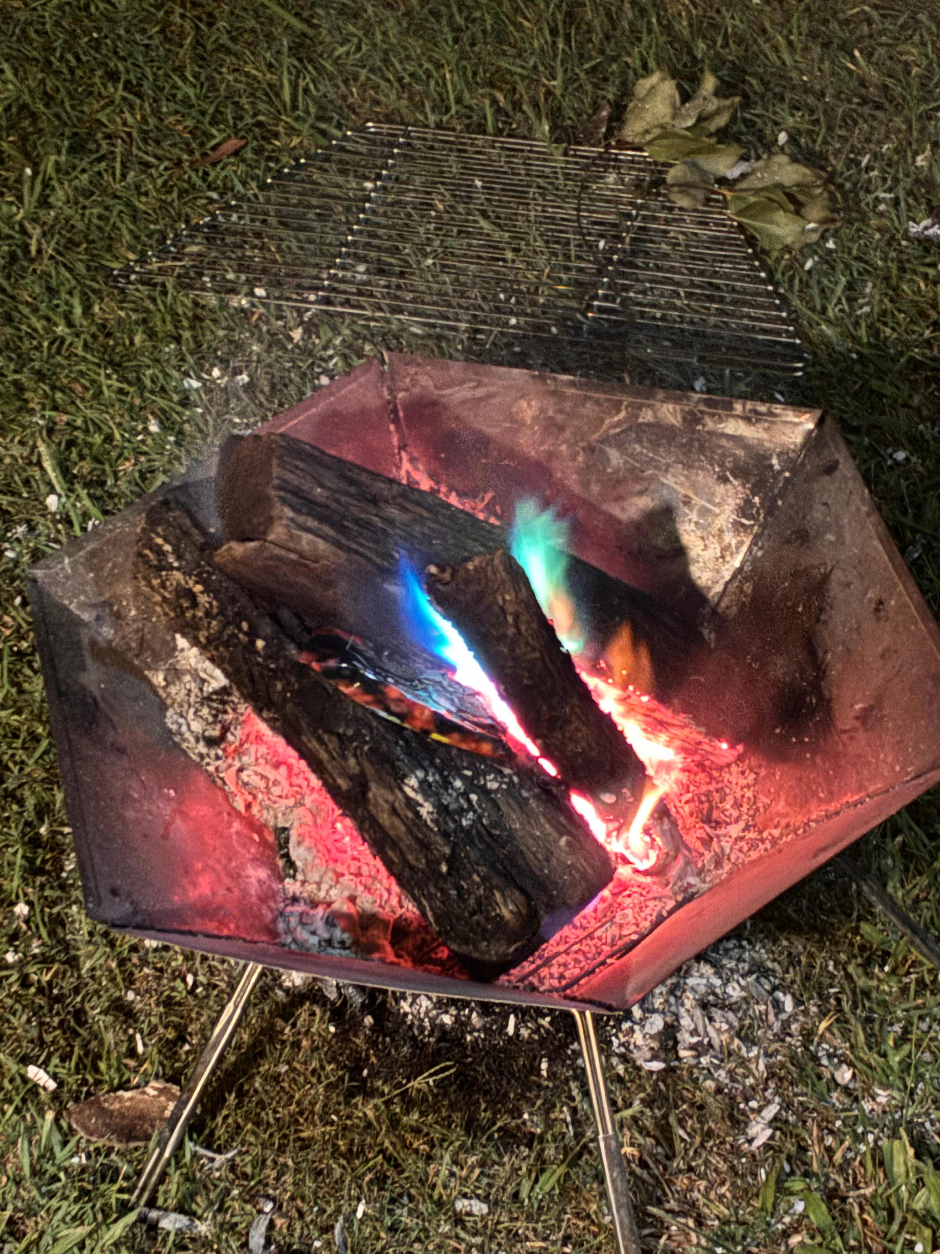 The Enchanted Paddock