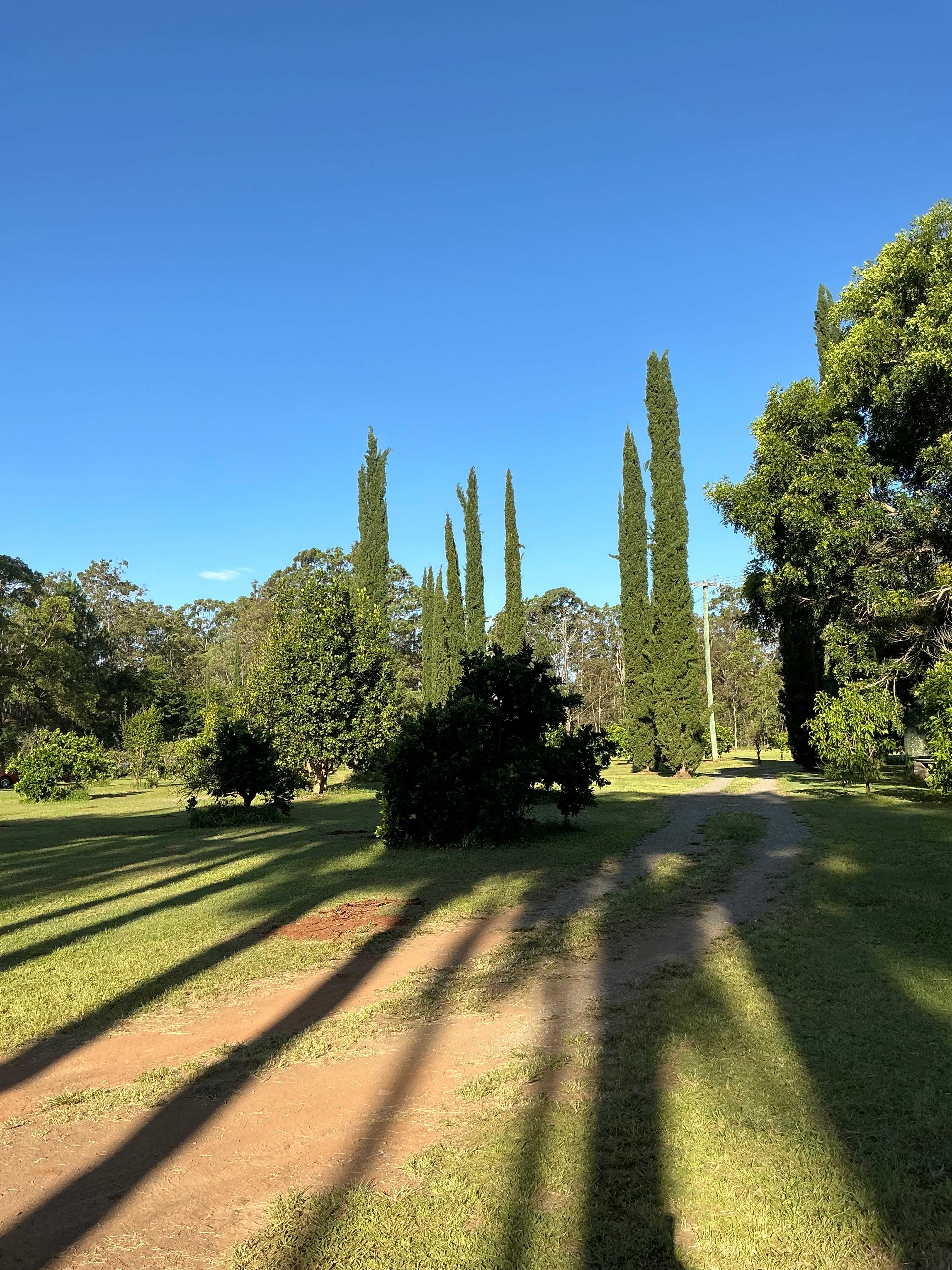 Beautifully lush and green