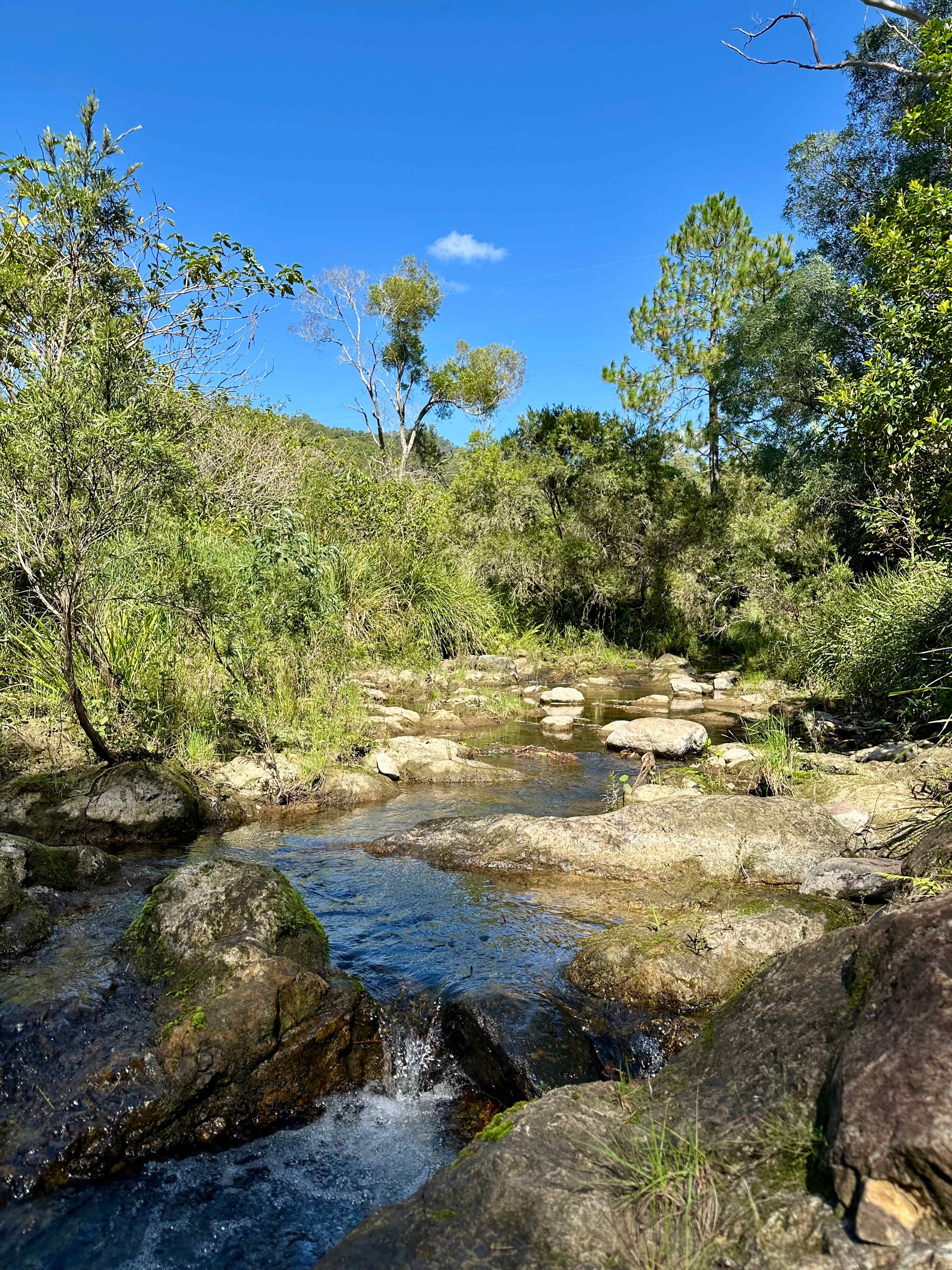 The Creekside Collective