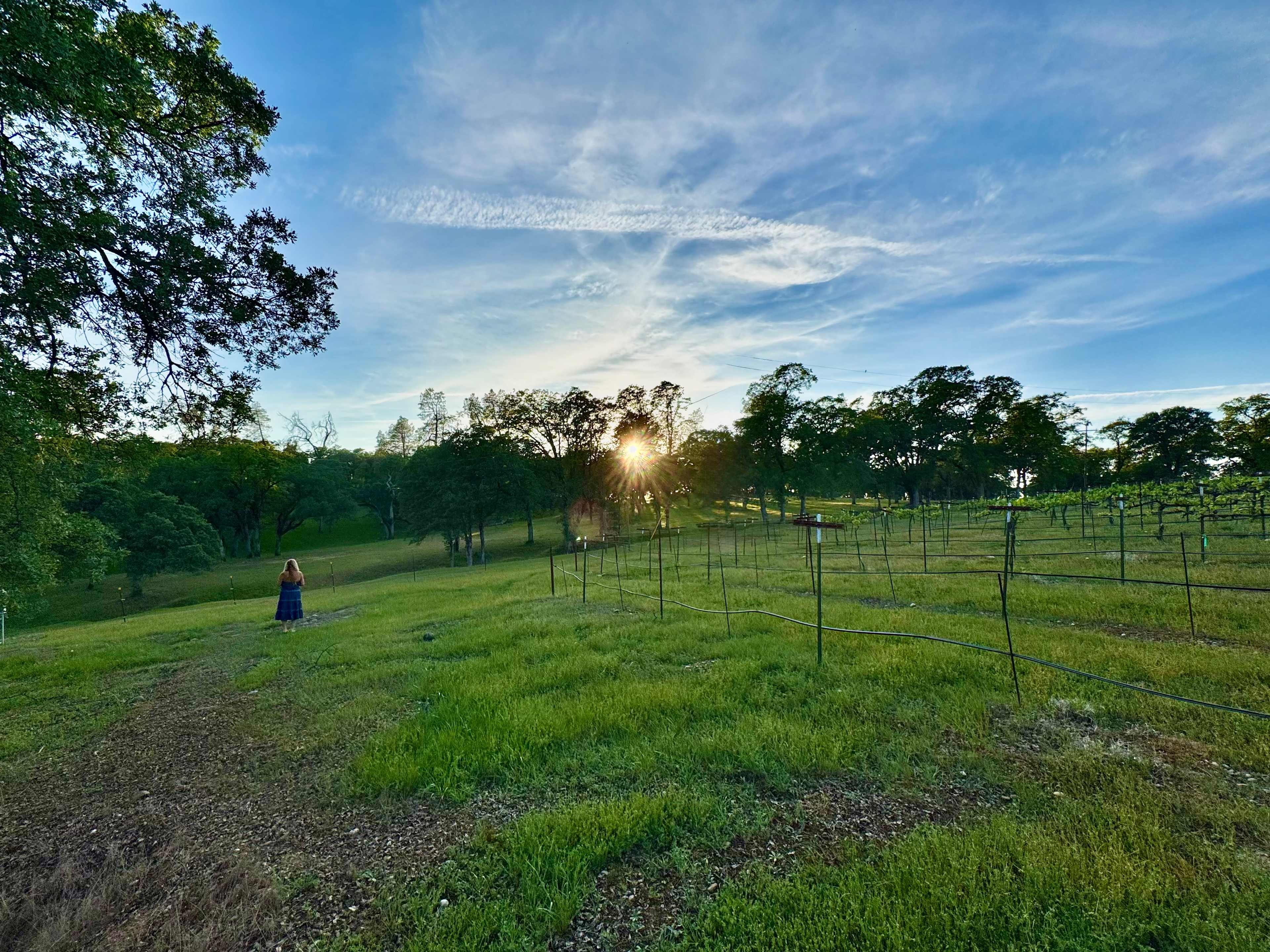 Hickman Family Vineyards