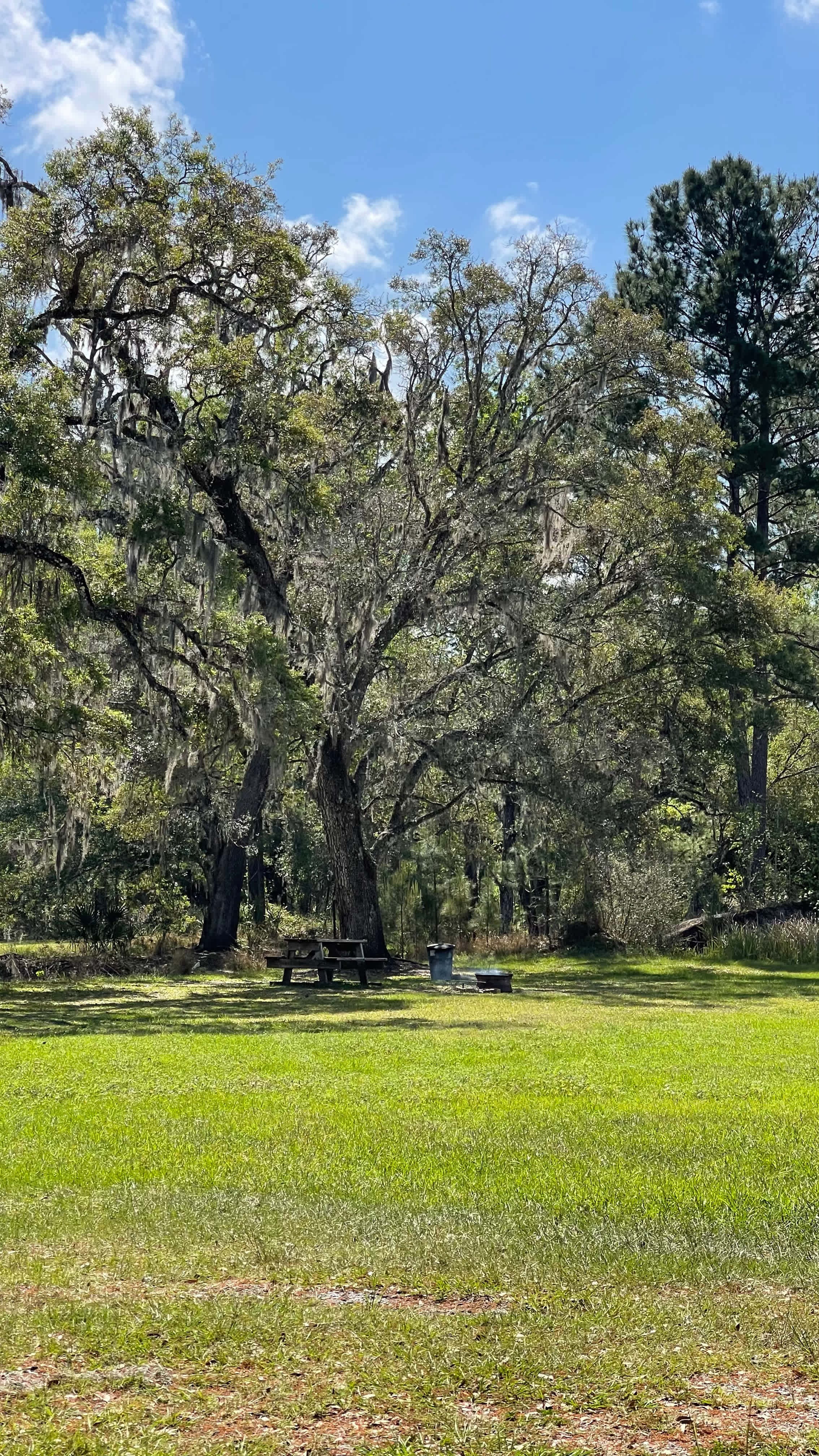 Smokey Acres