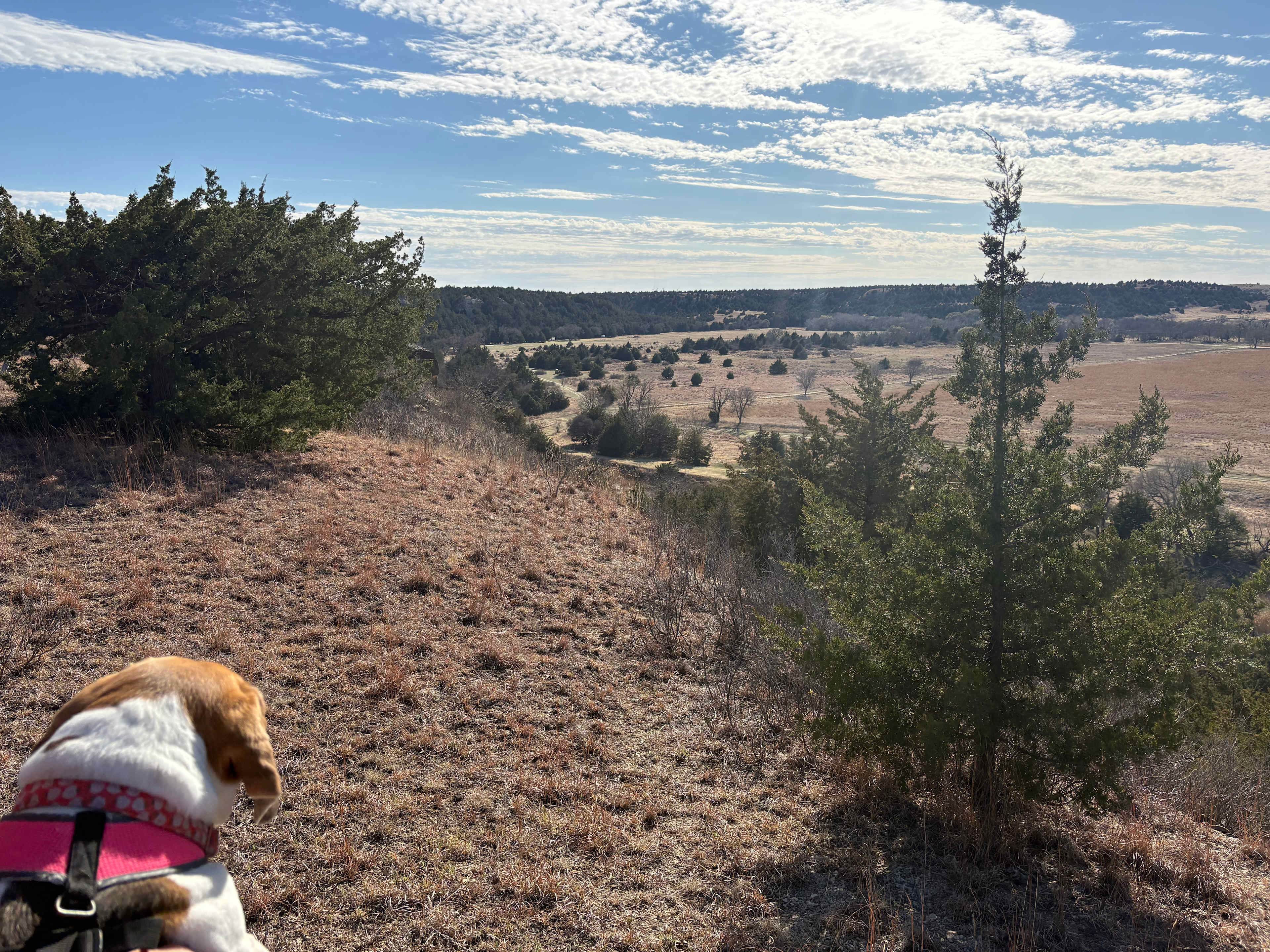 C2T Ranch on the Saline River