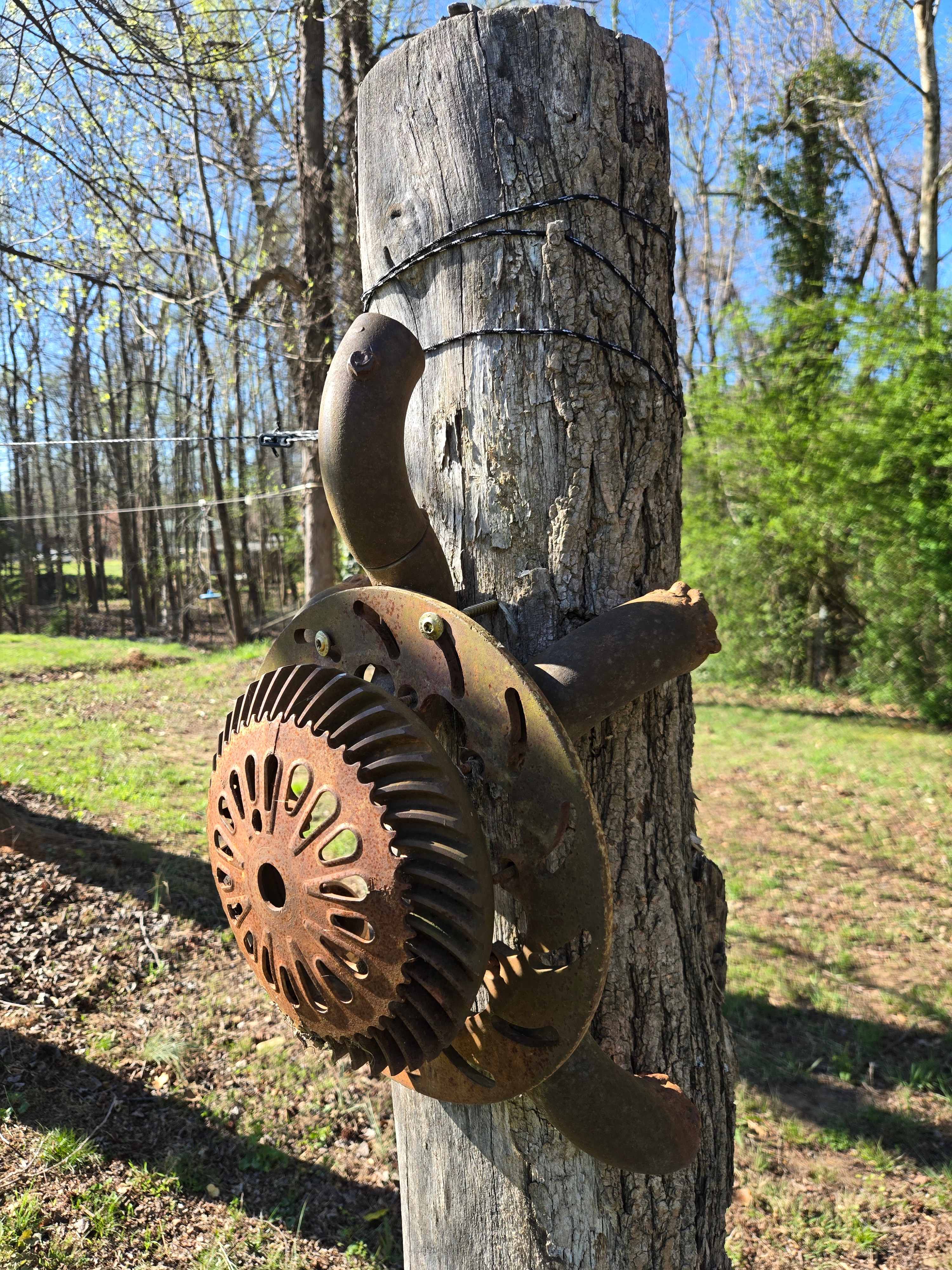 Linville Adventure Pasture (LAP)
