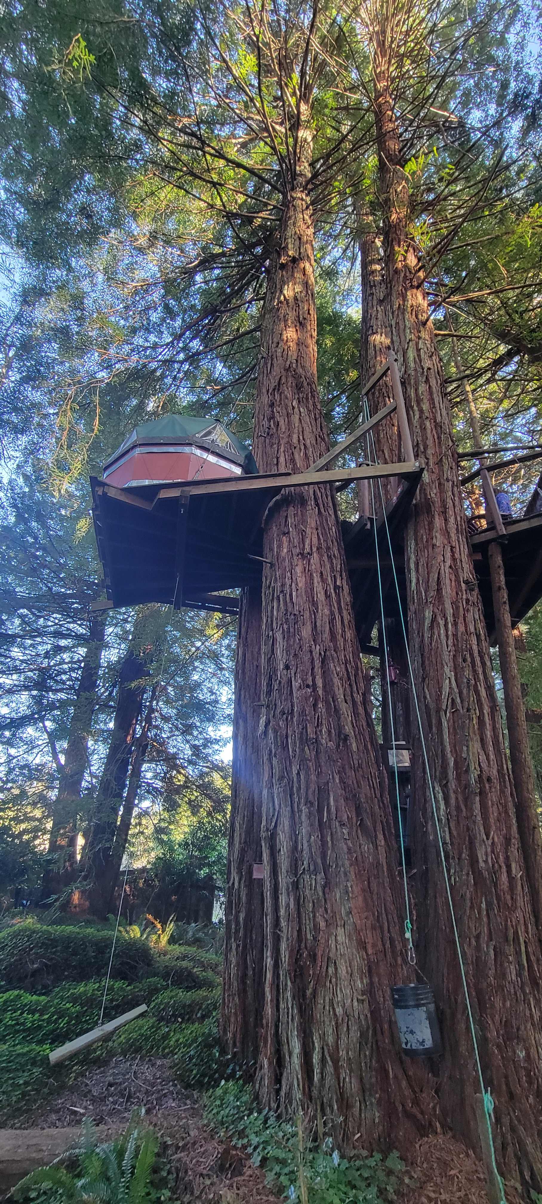 Redwood Retreat