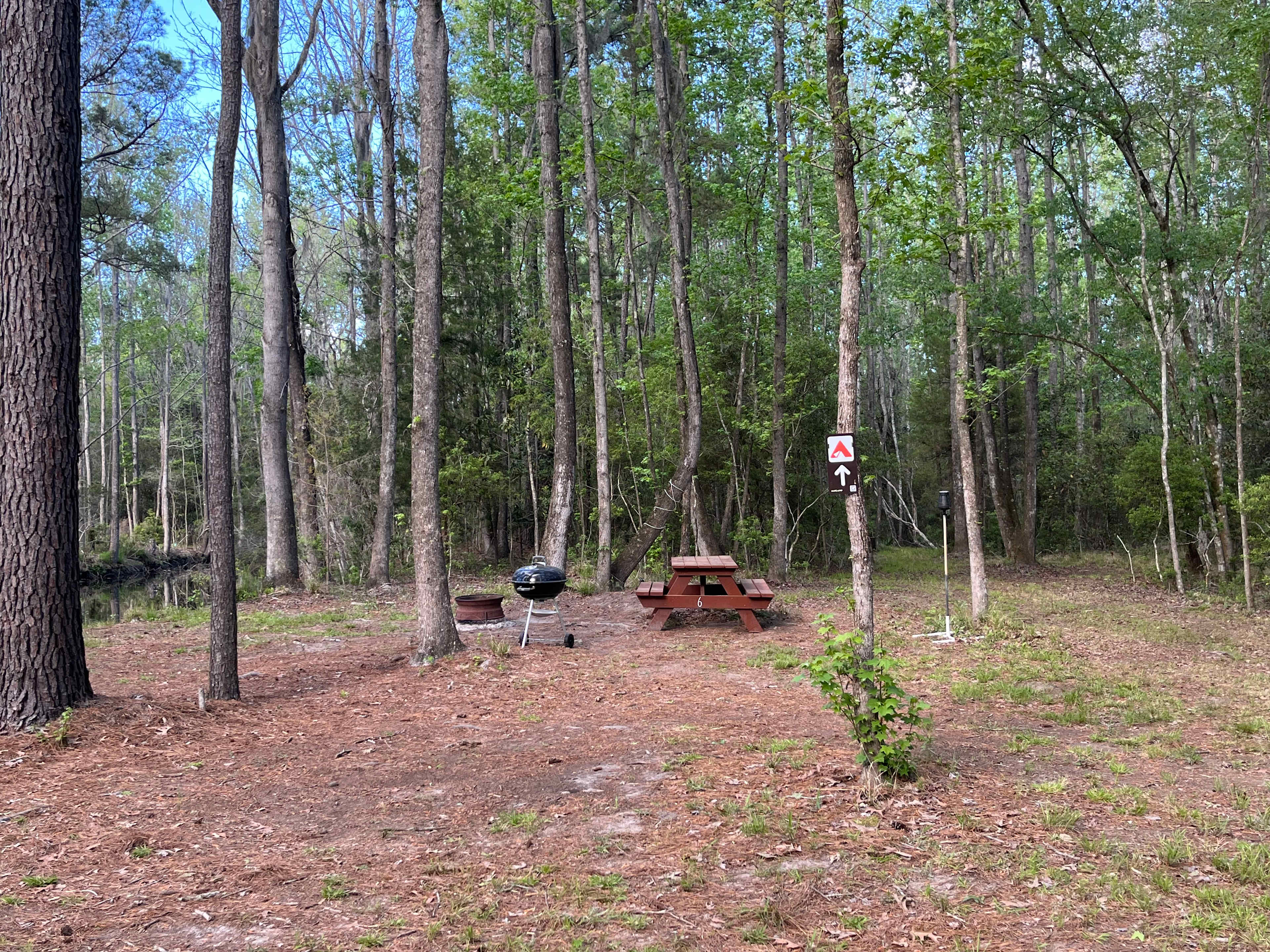 Picture of the site