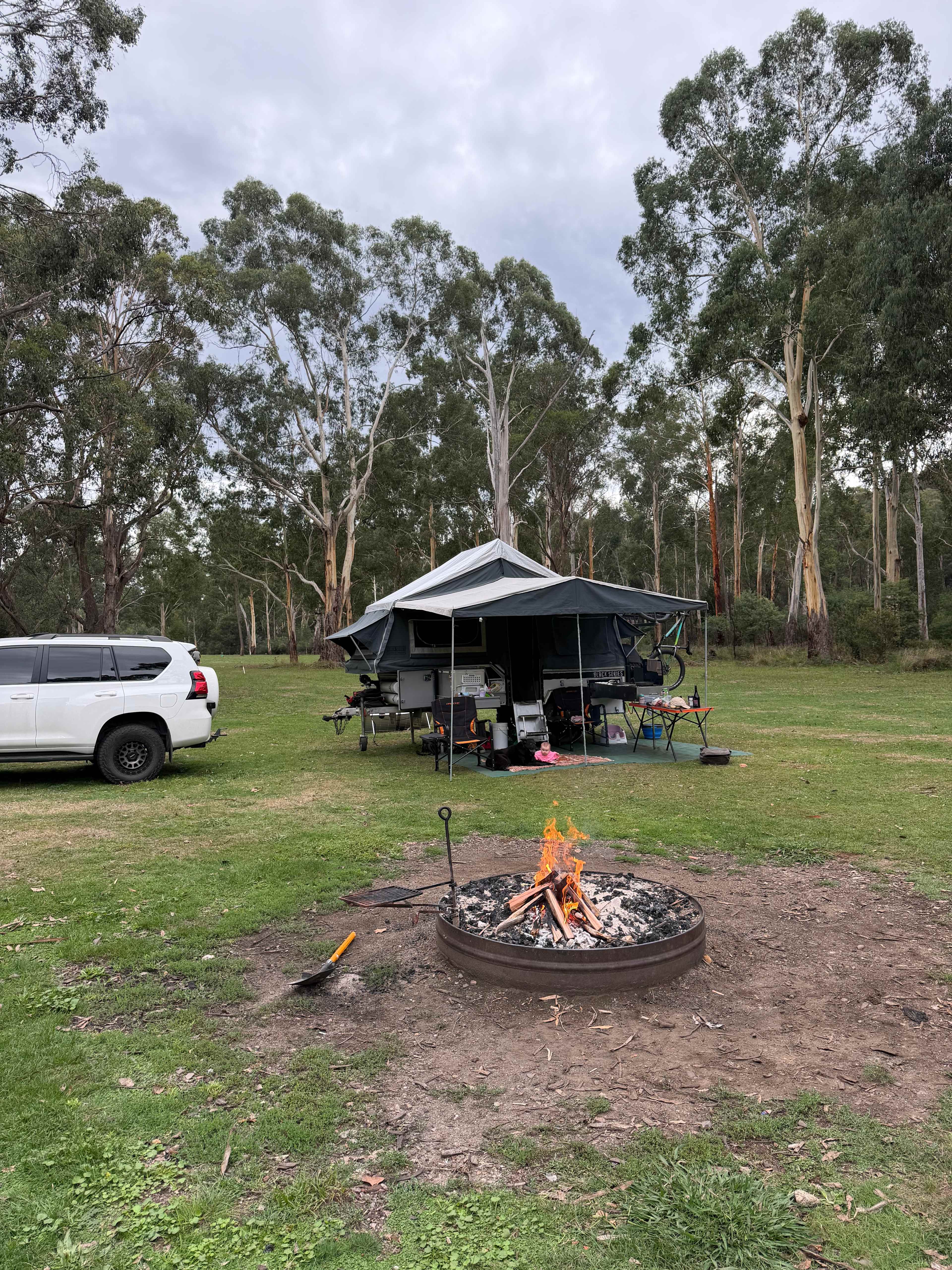 Home among the gumtrees 