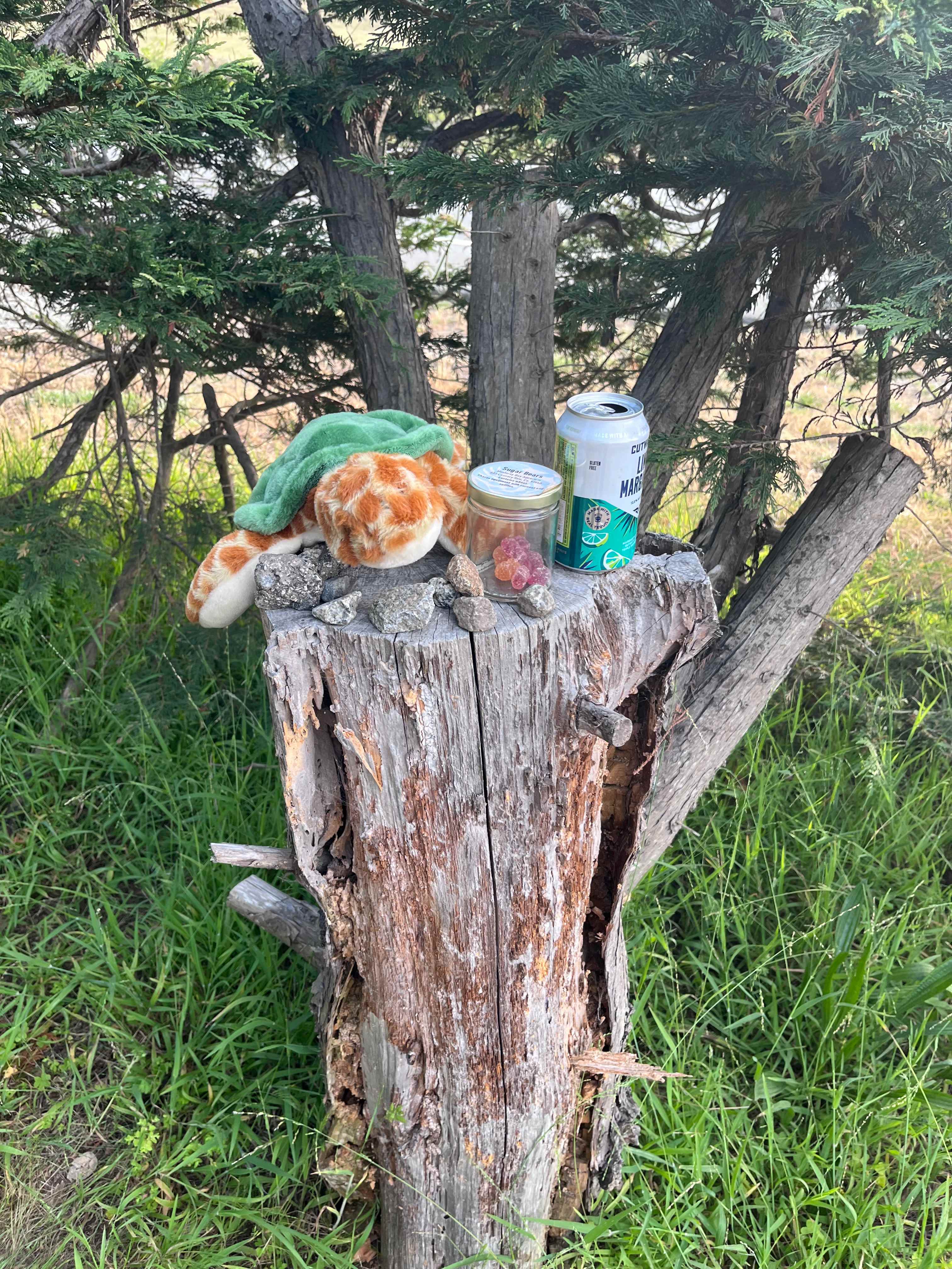 Strawberry Fields+Walk to the Beach