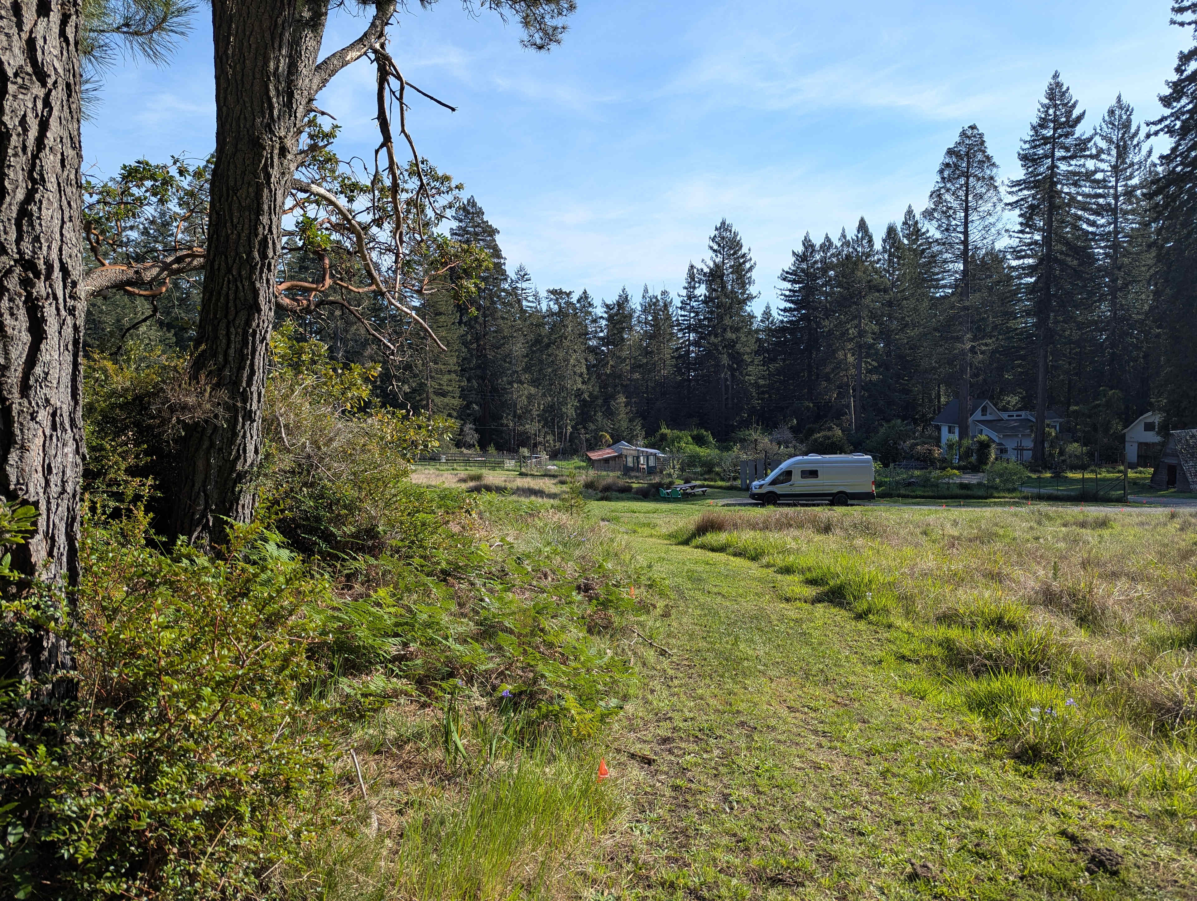 Down from outhouse towards the site