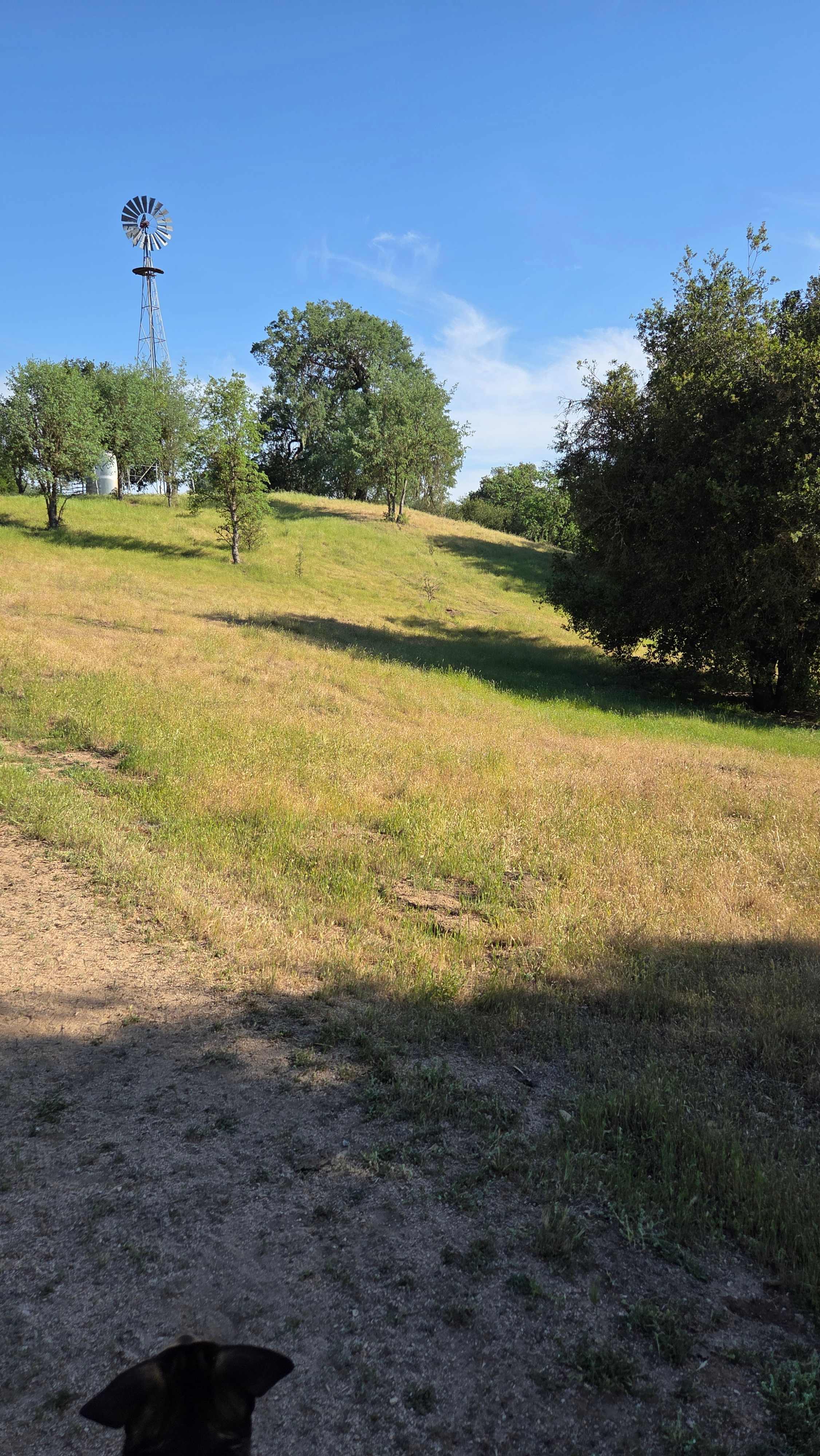 Wolf Six Ranch • Wine Country Stay