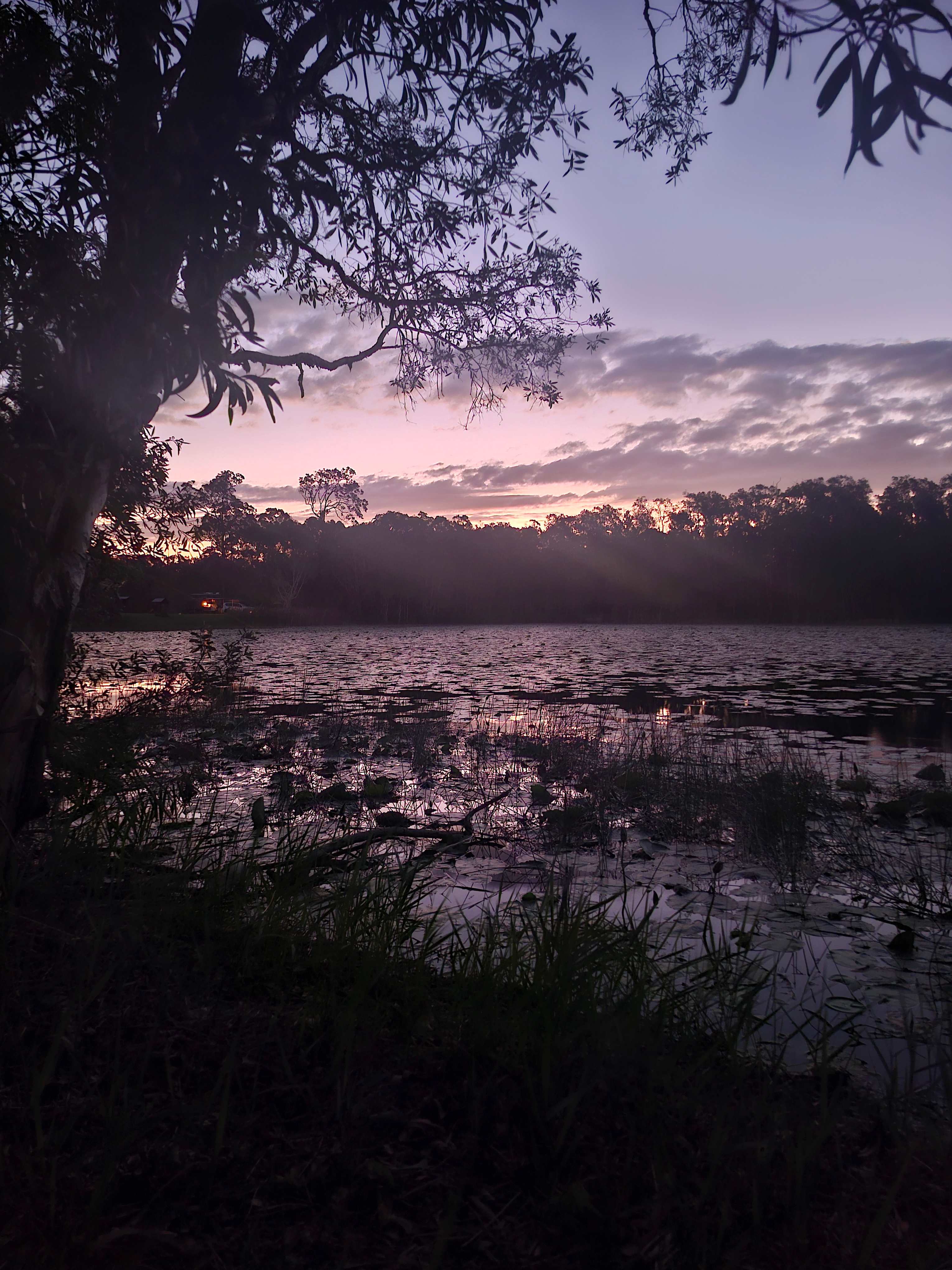 The Magic Pond