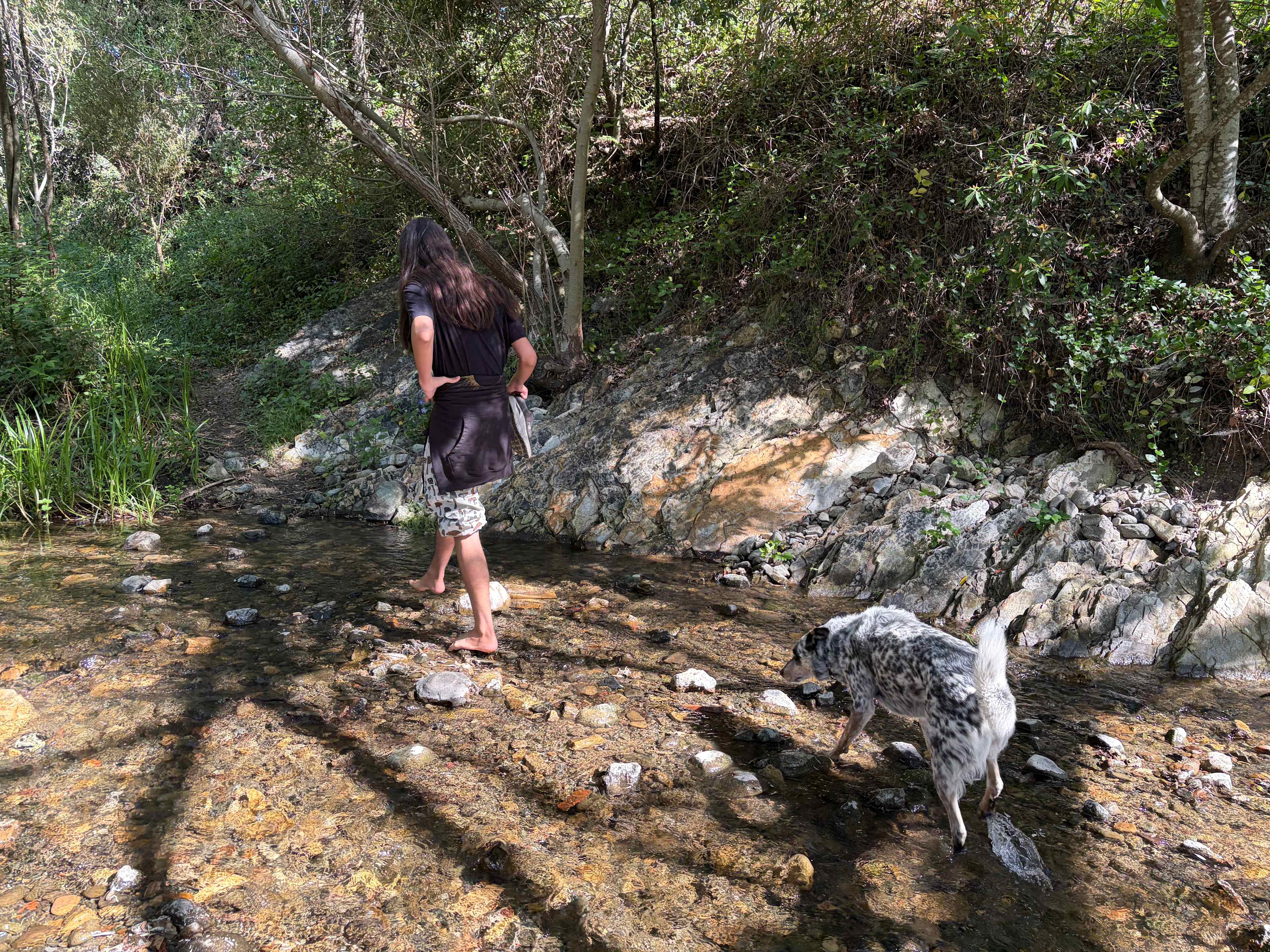 Our tour guide Pluto took us on a hike across the creek