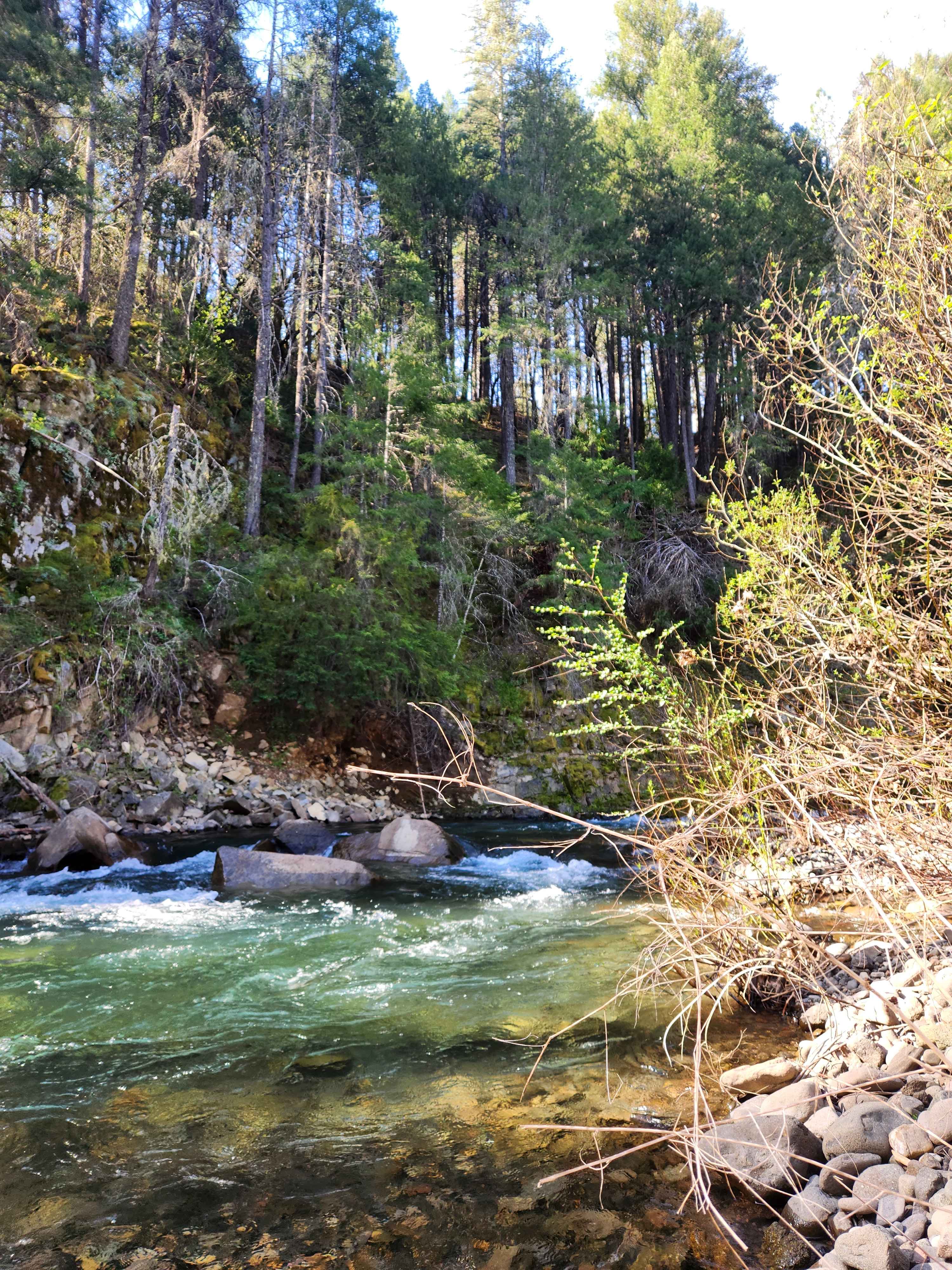 Kosk Creek Campgrounds