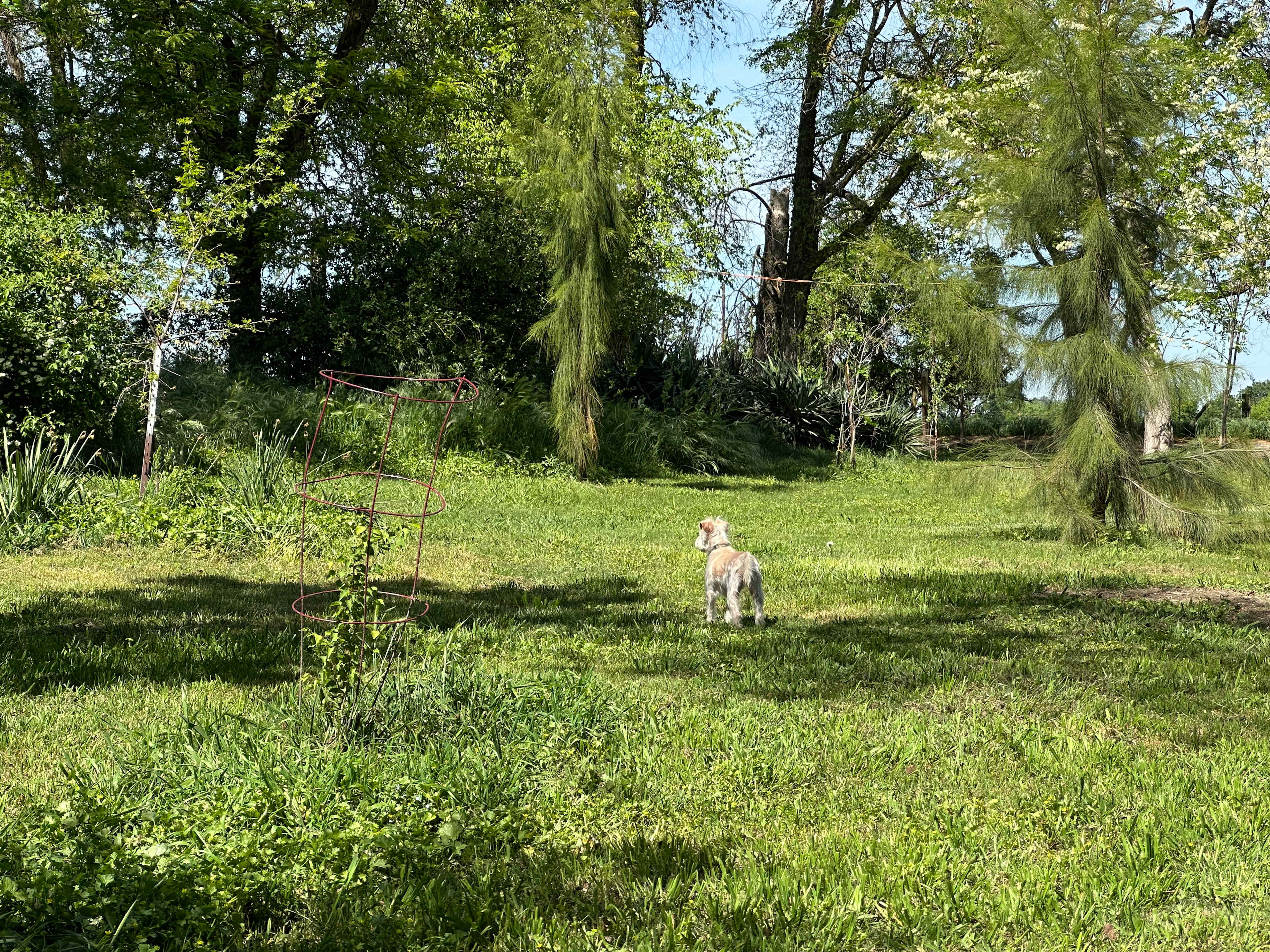 Walden Ranch
