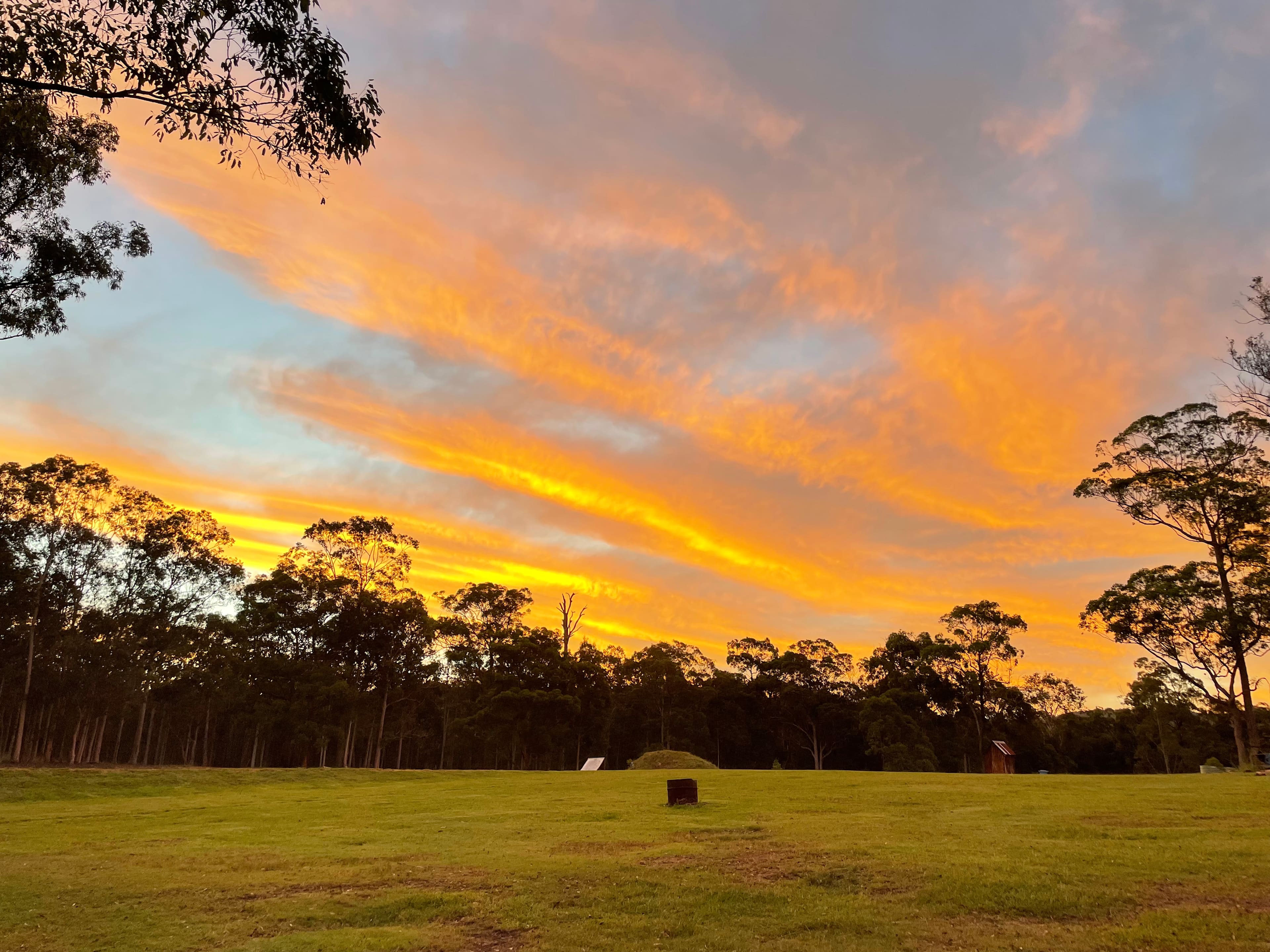 Wallaby Haven