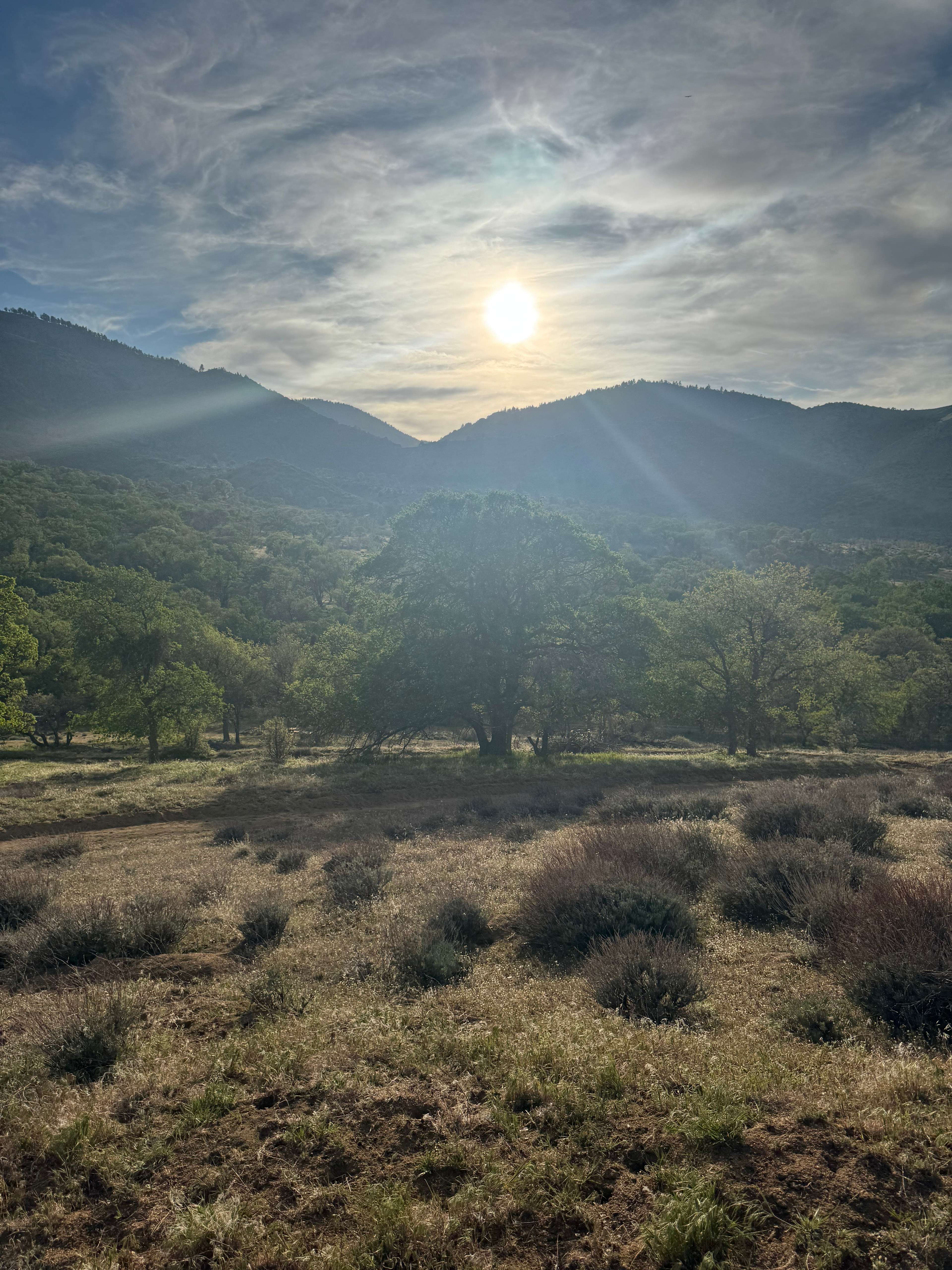 From the hiking trail on site