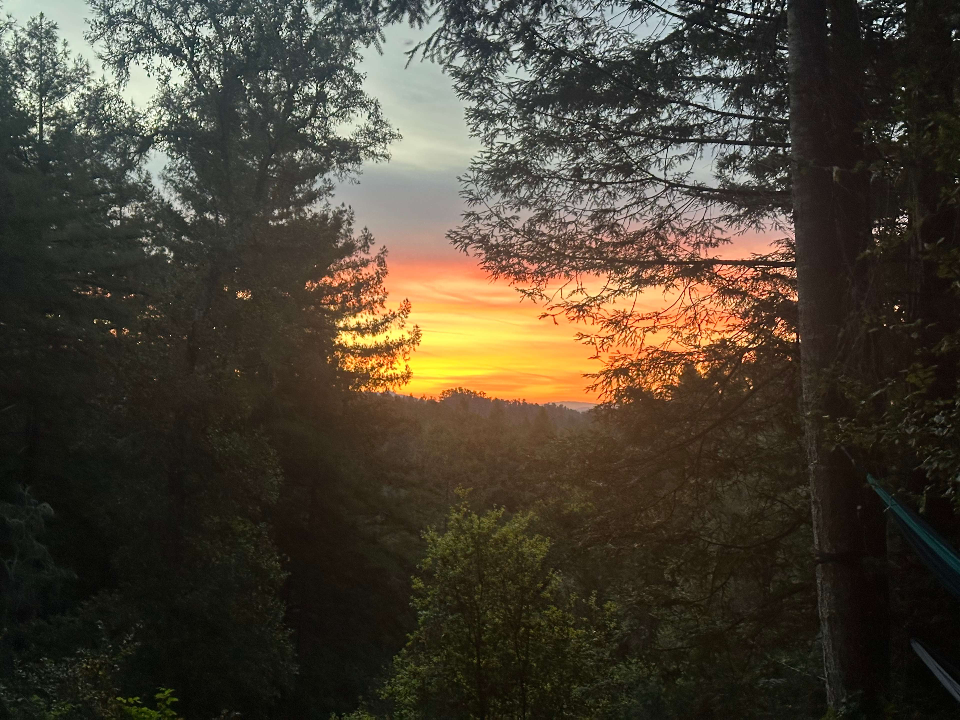 Fern Ridge Flats - Private Camping