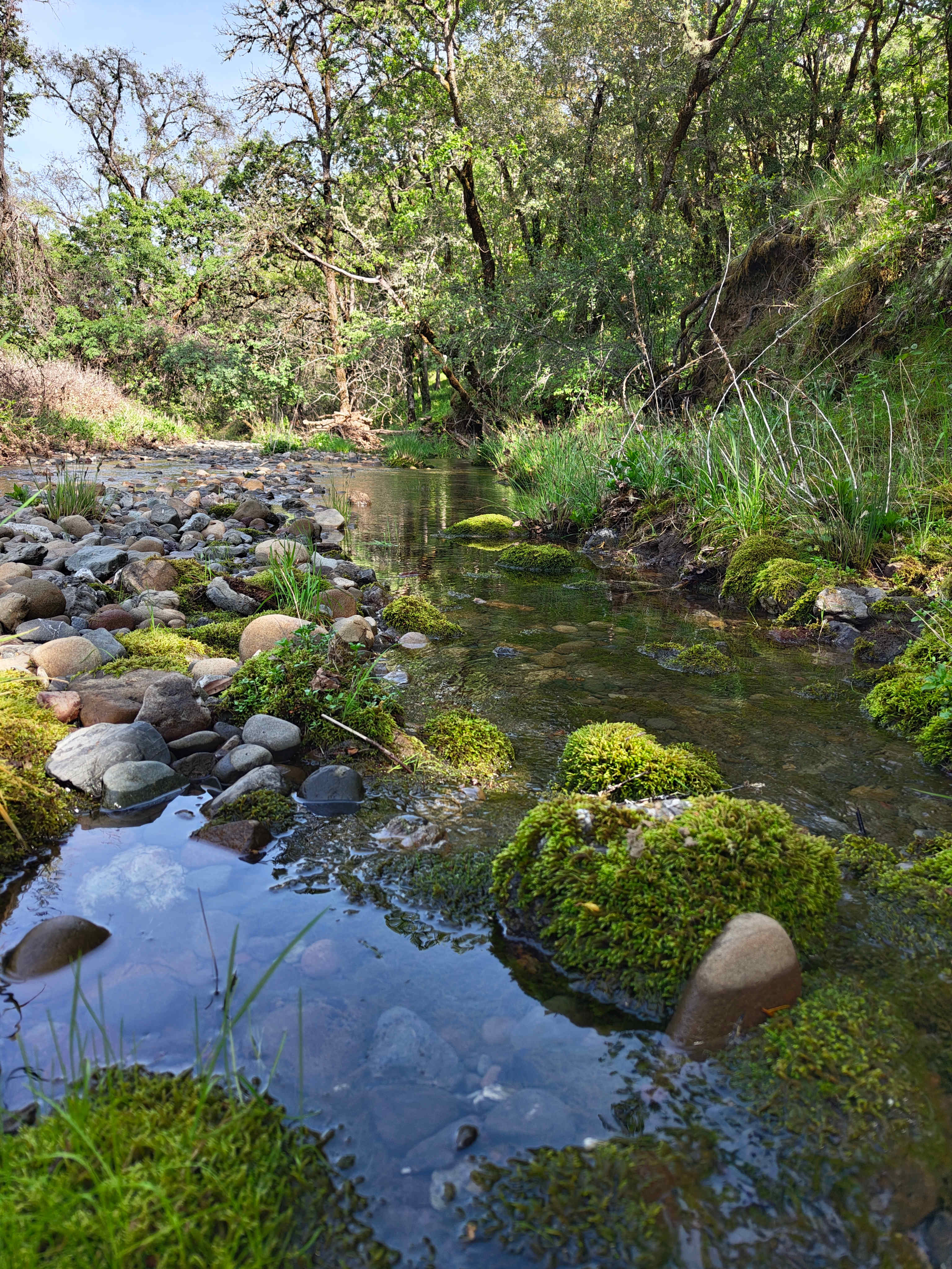 River