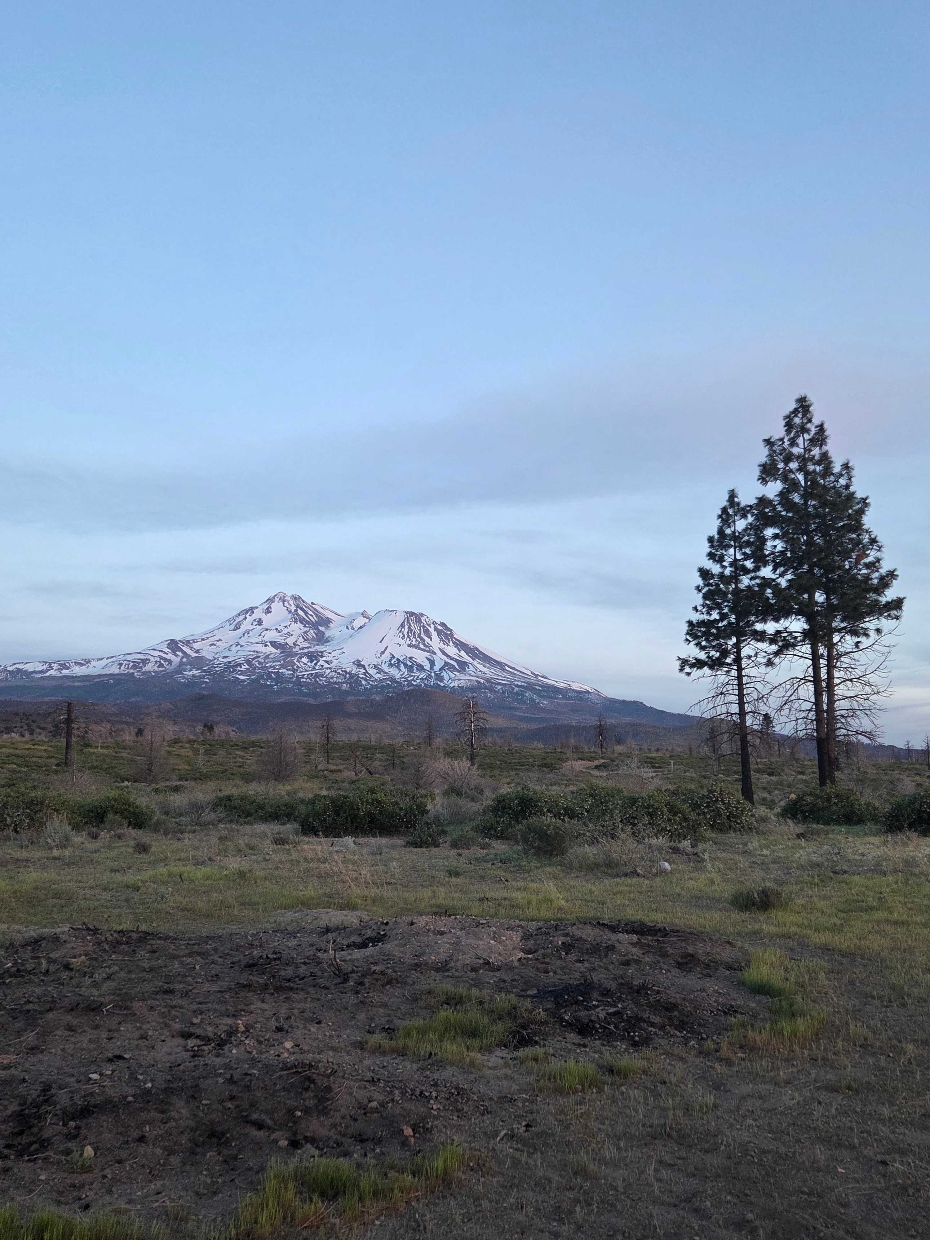 View of Shasta