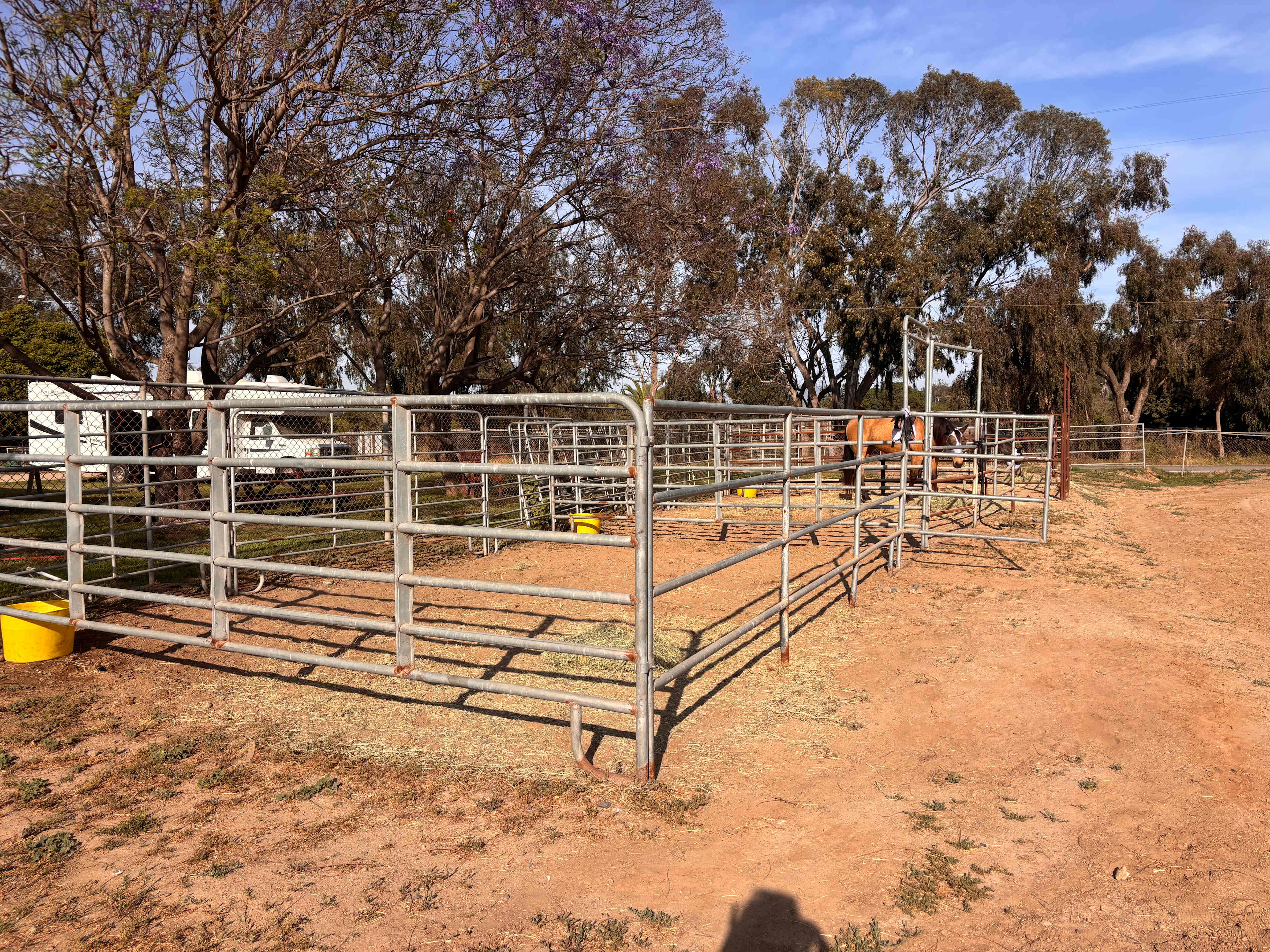 D&J Stables