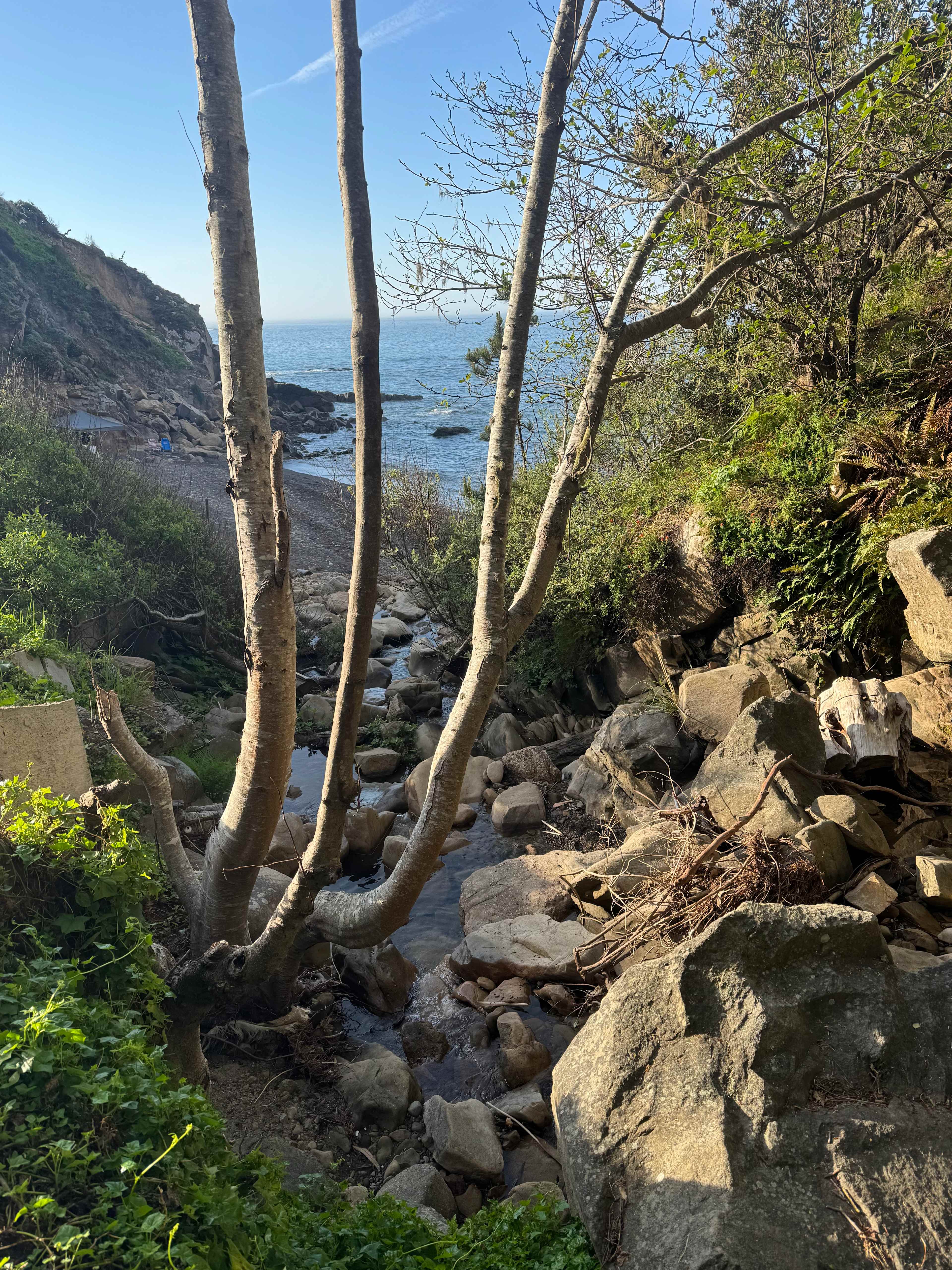 Timber Cove Campground