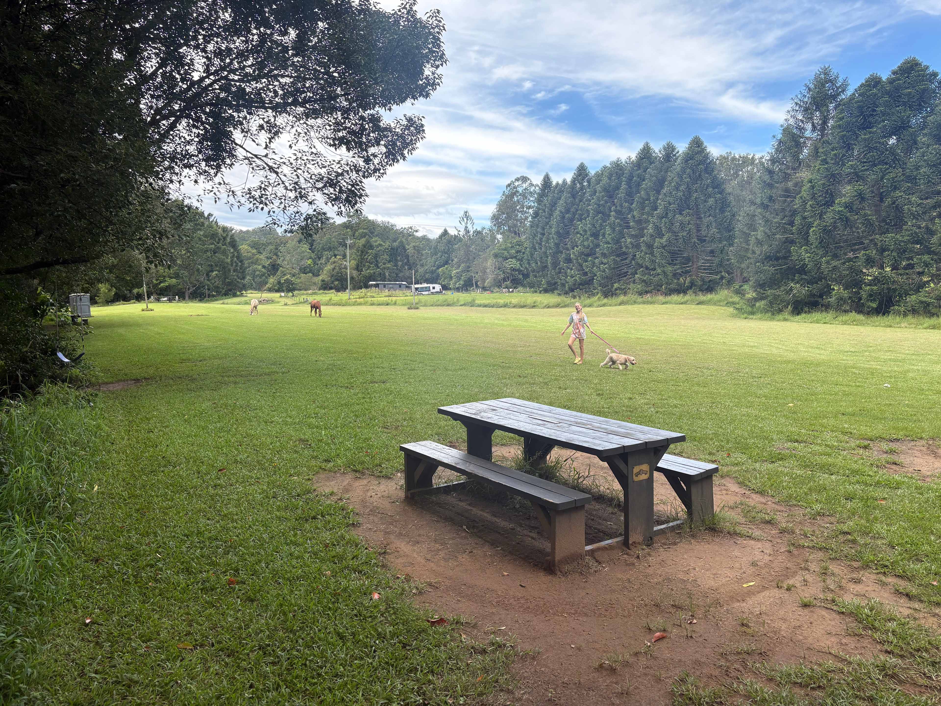 Rowlands Creek Camp Area