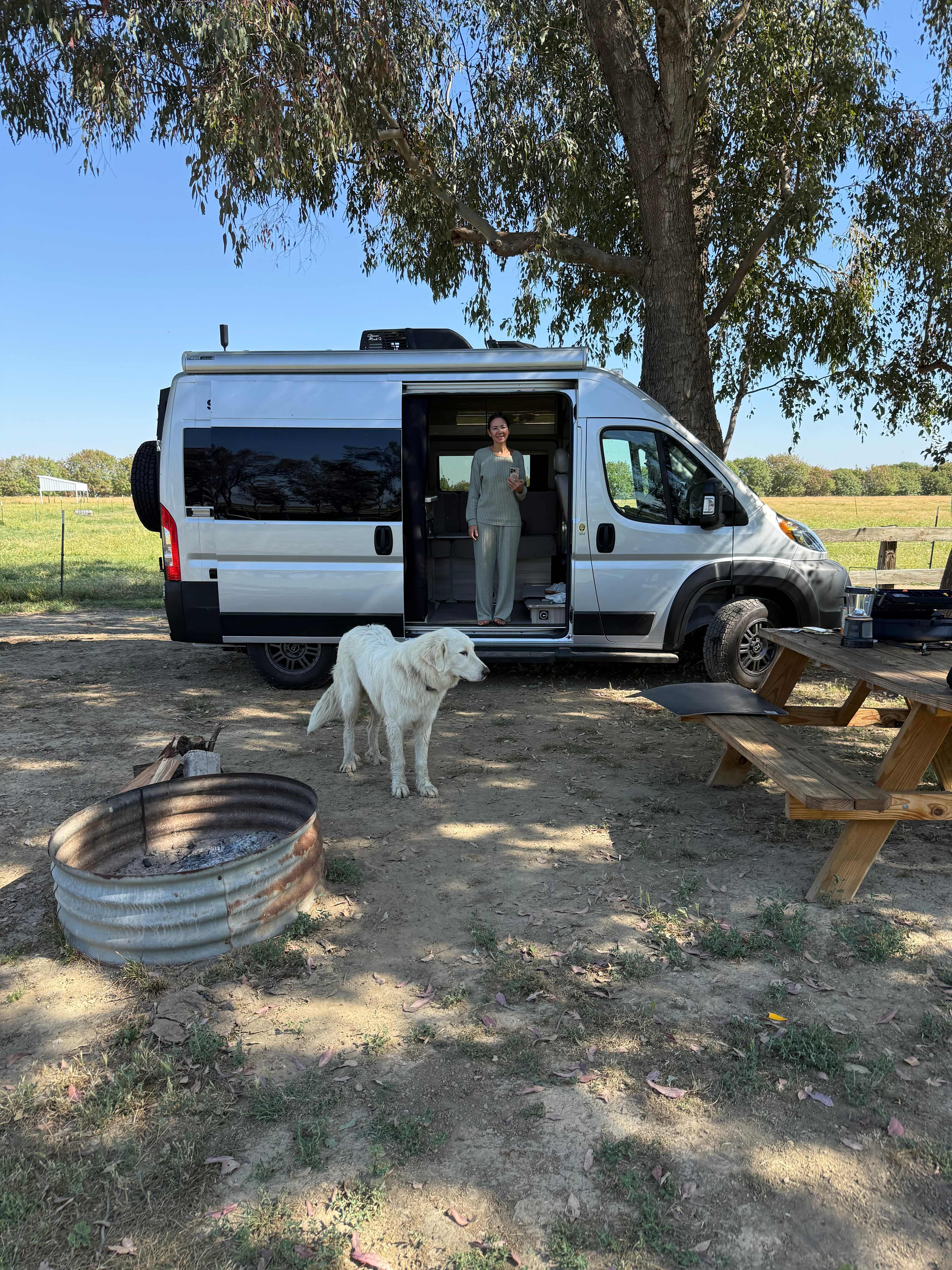 Bakersfield Farm Animals & Pond