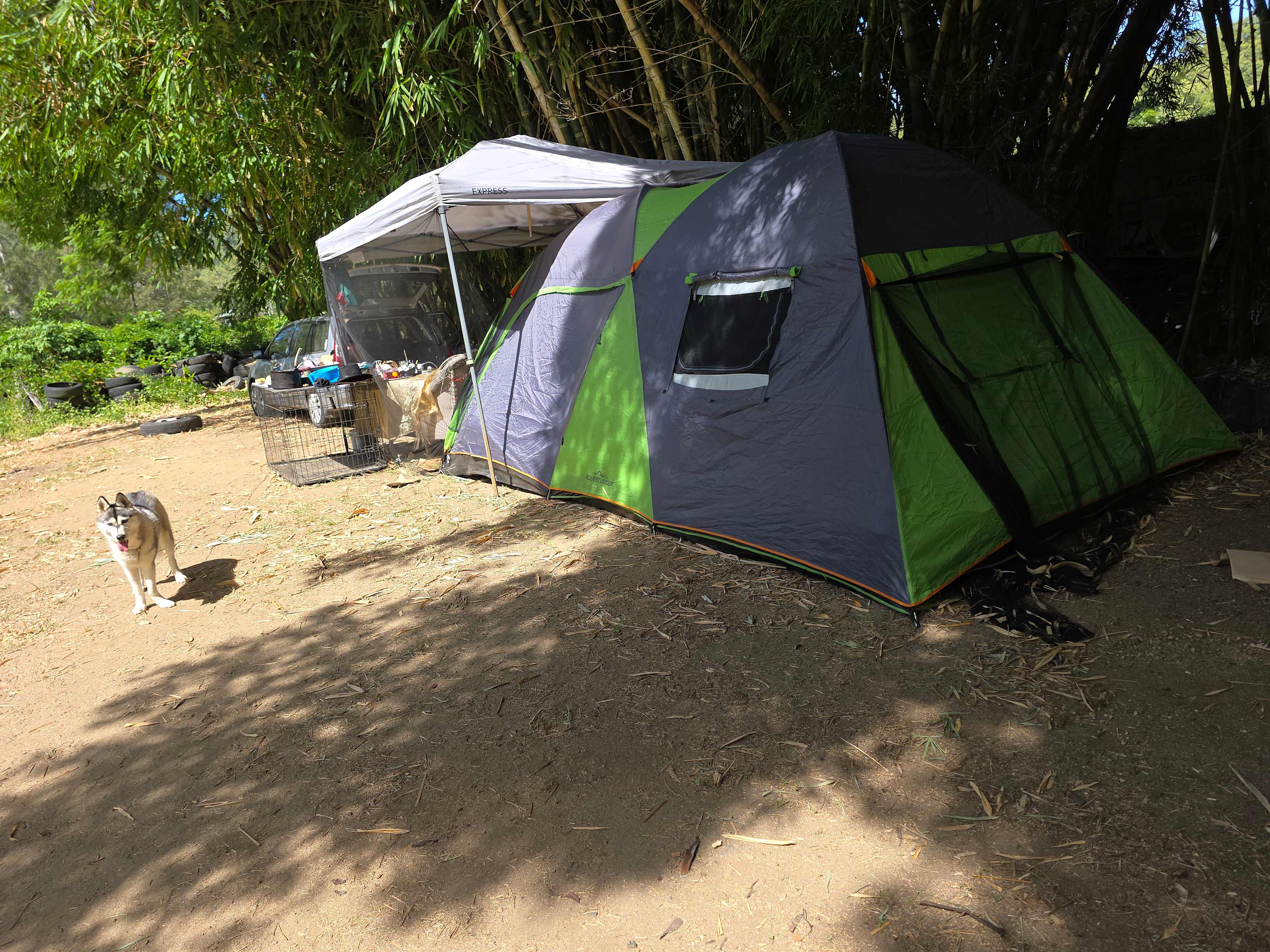 Picture of the site