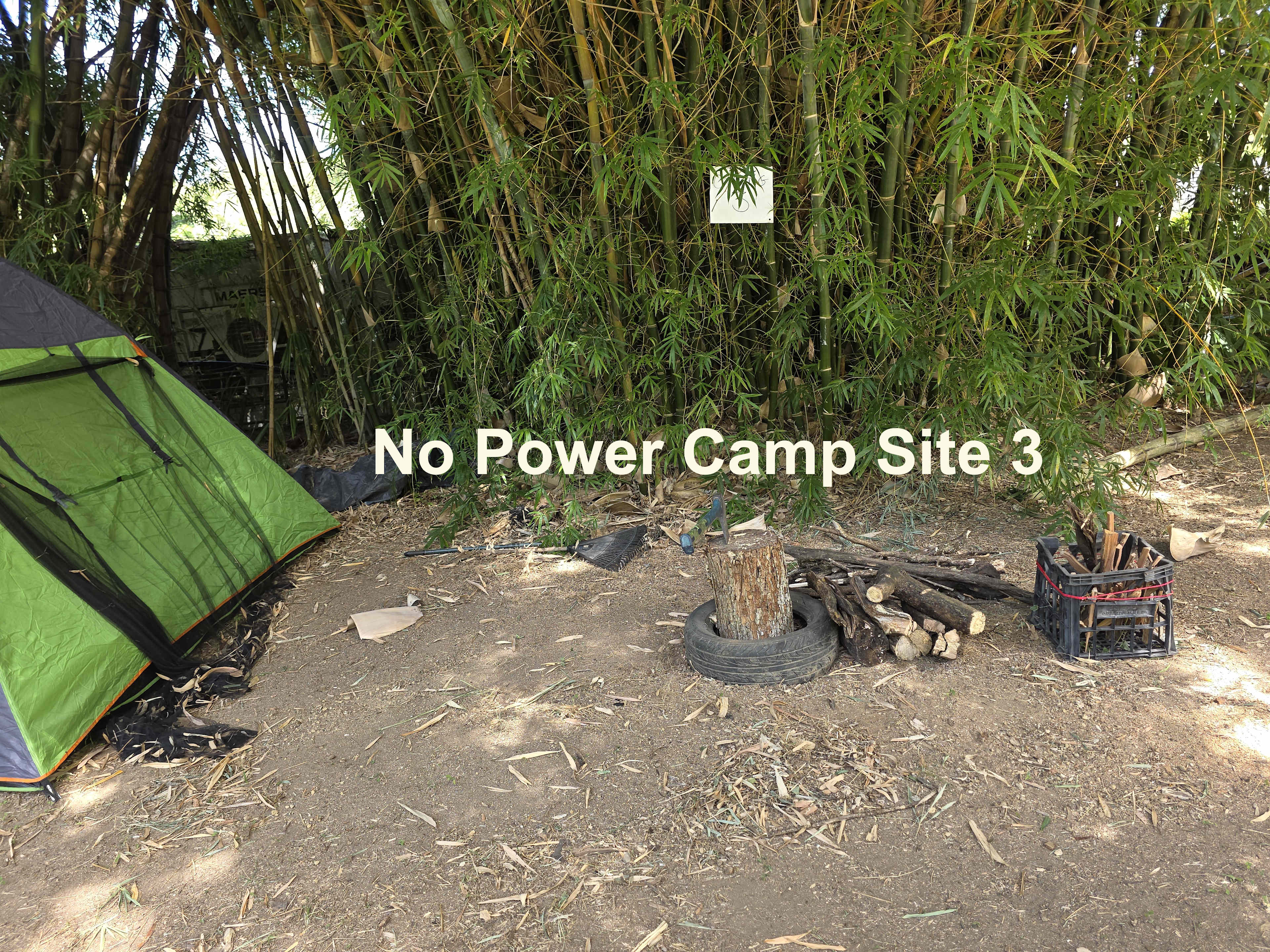 Picture of the site