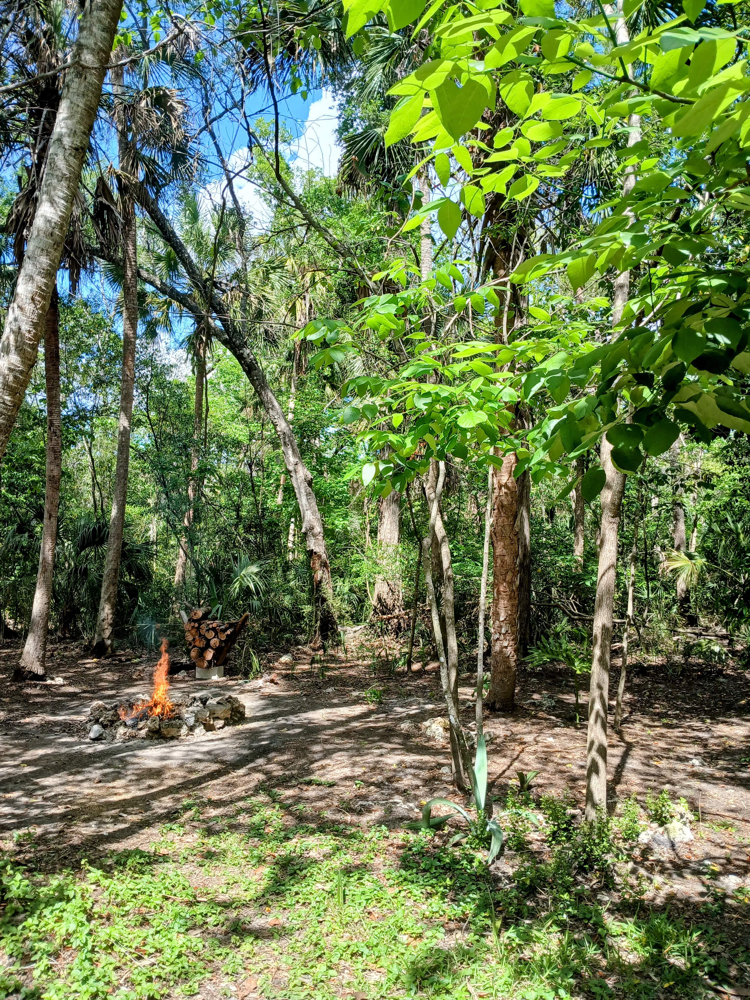 Picture of the site