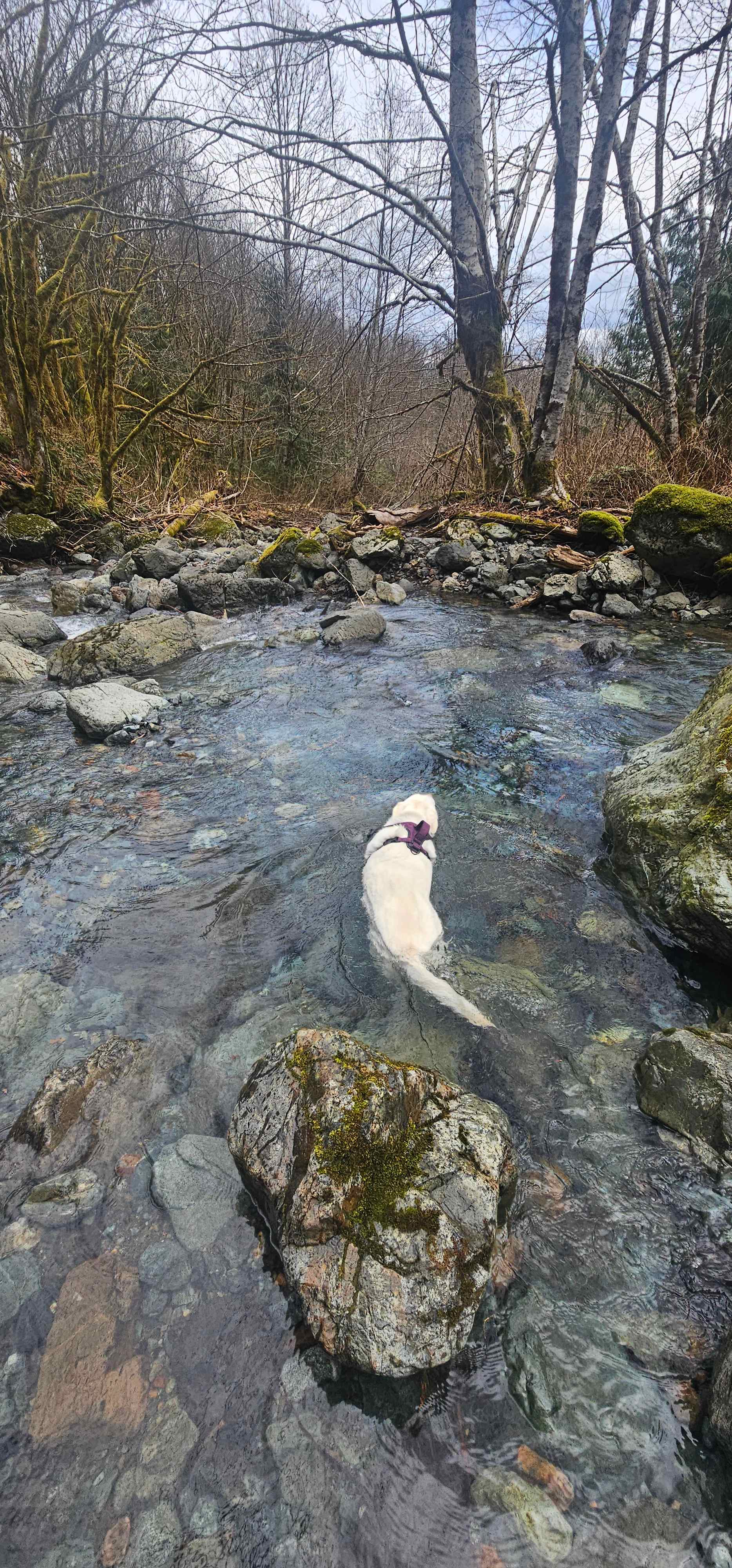 Nearby hike