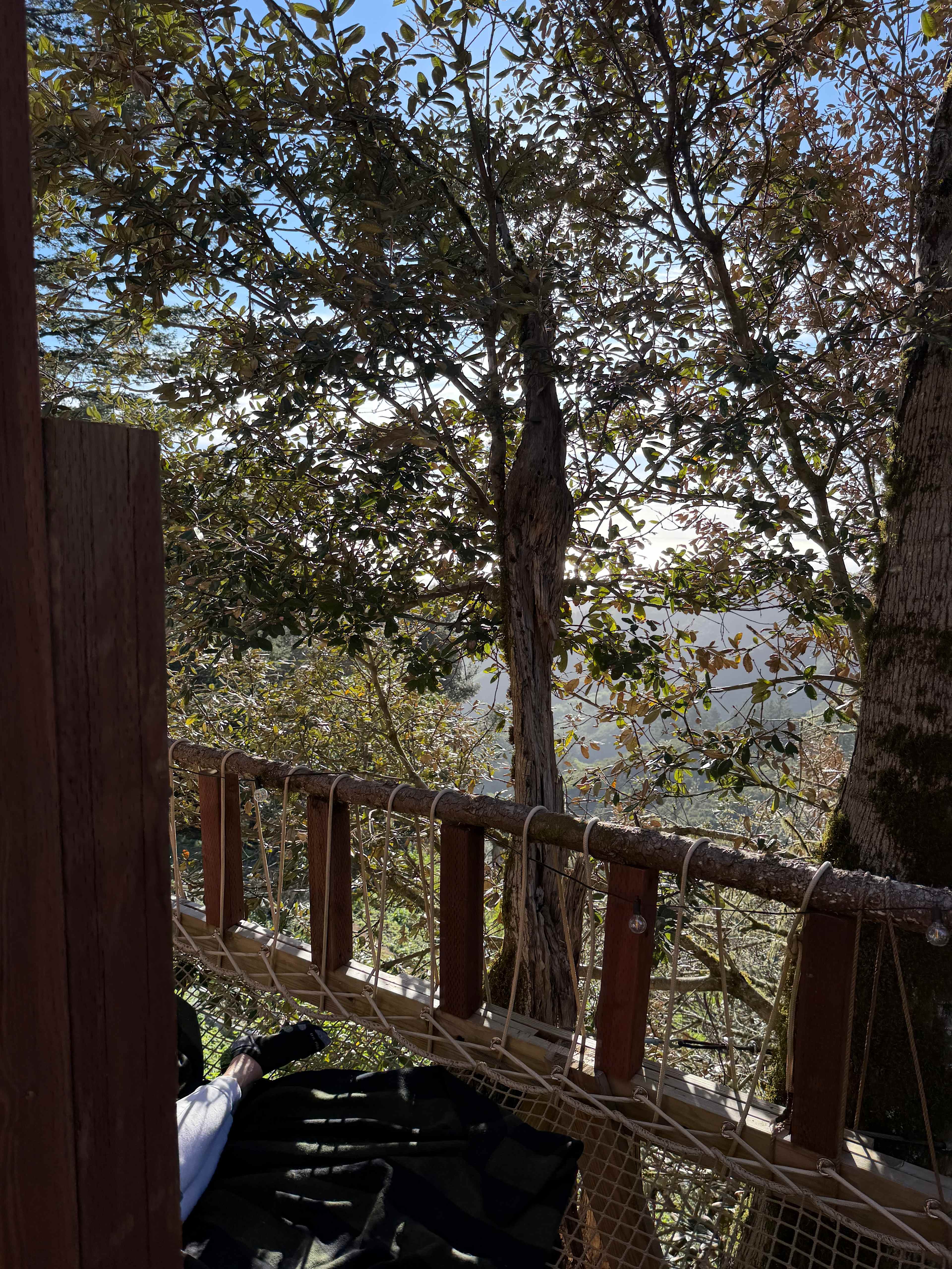 Kings Mountain Camp w/ ocean views