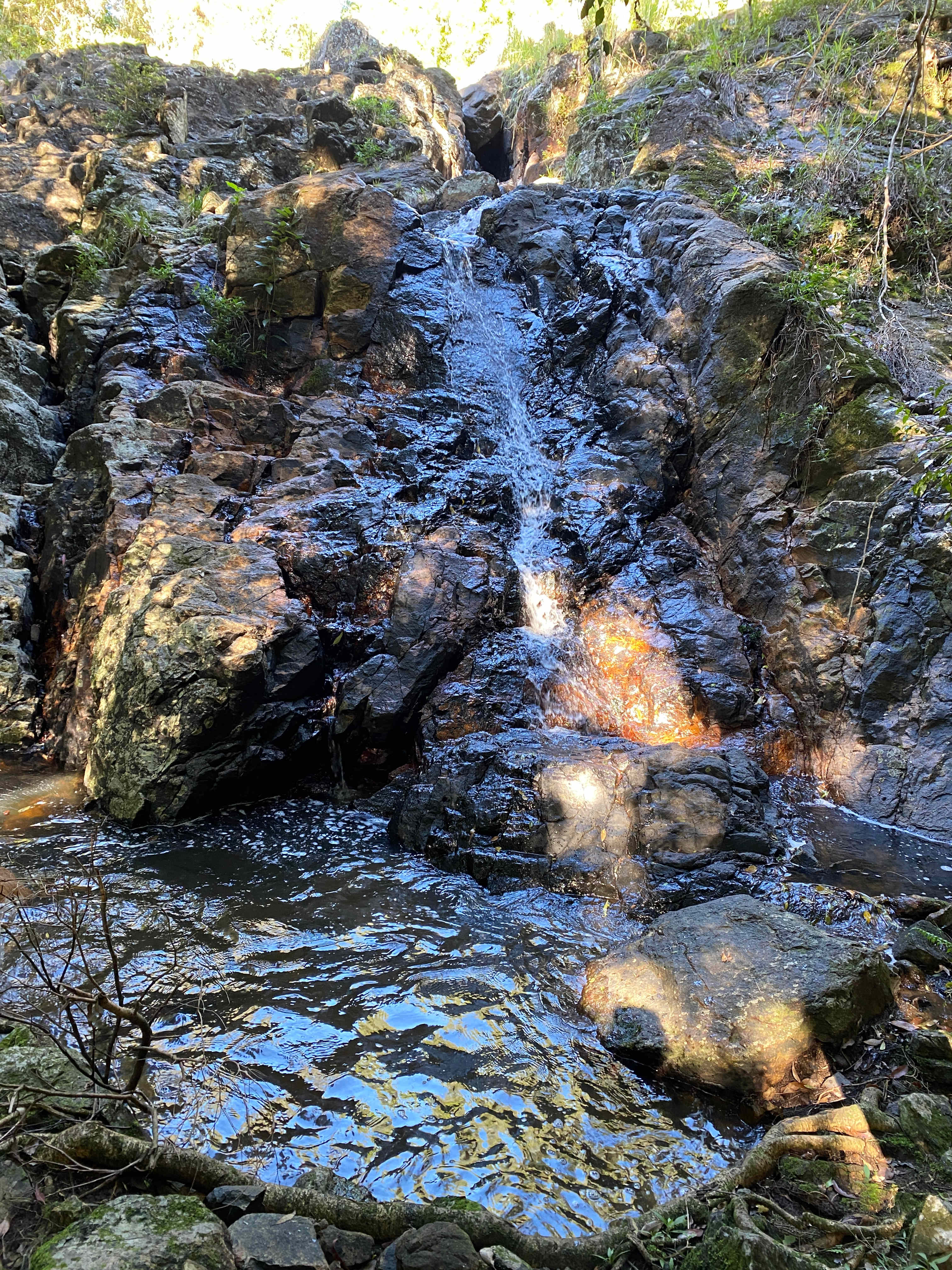 Woombye Rainforest Escape