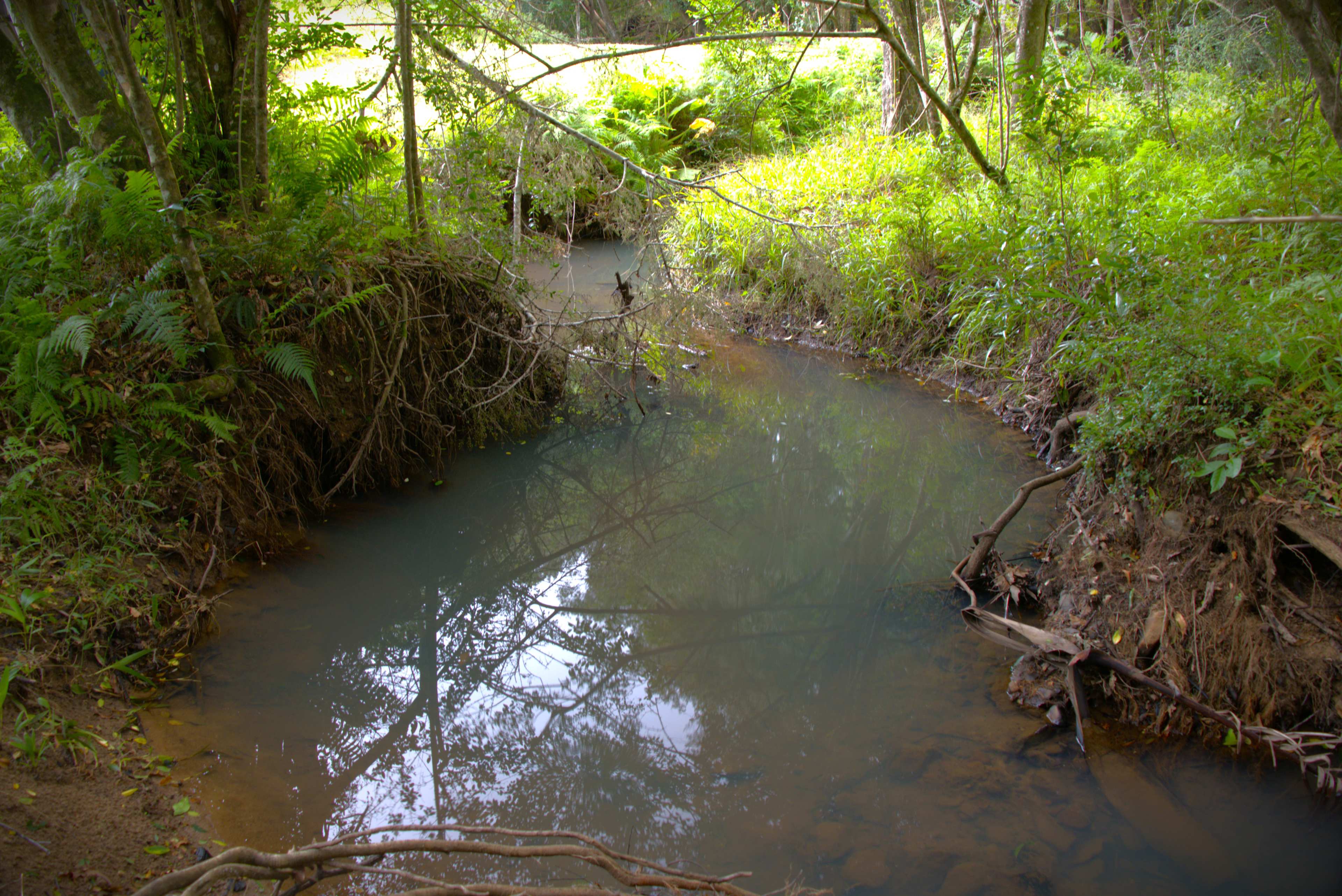 Stanlyn Park